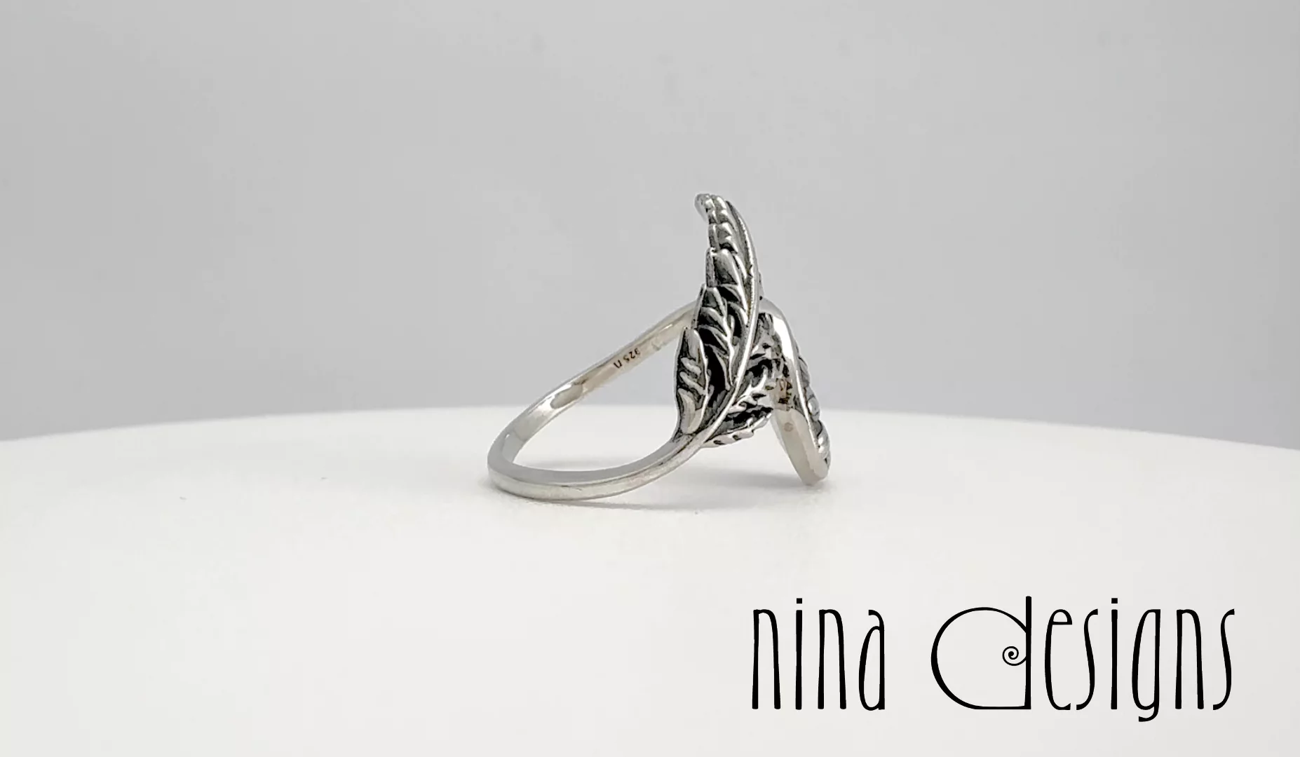 Preview image for video