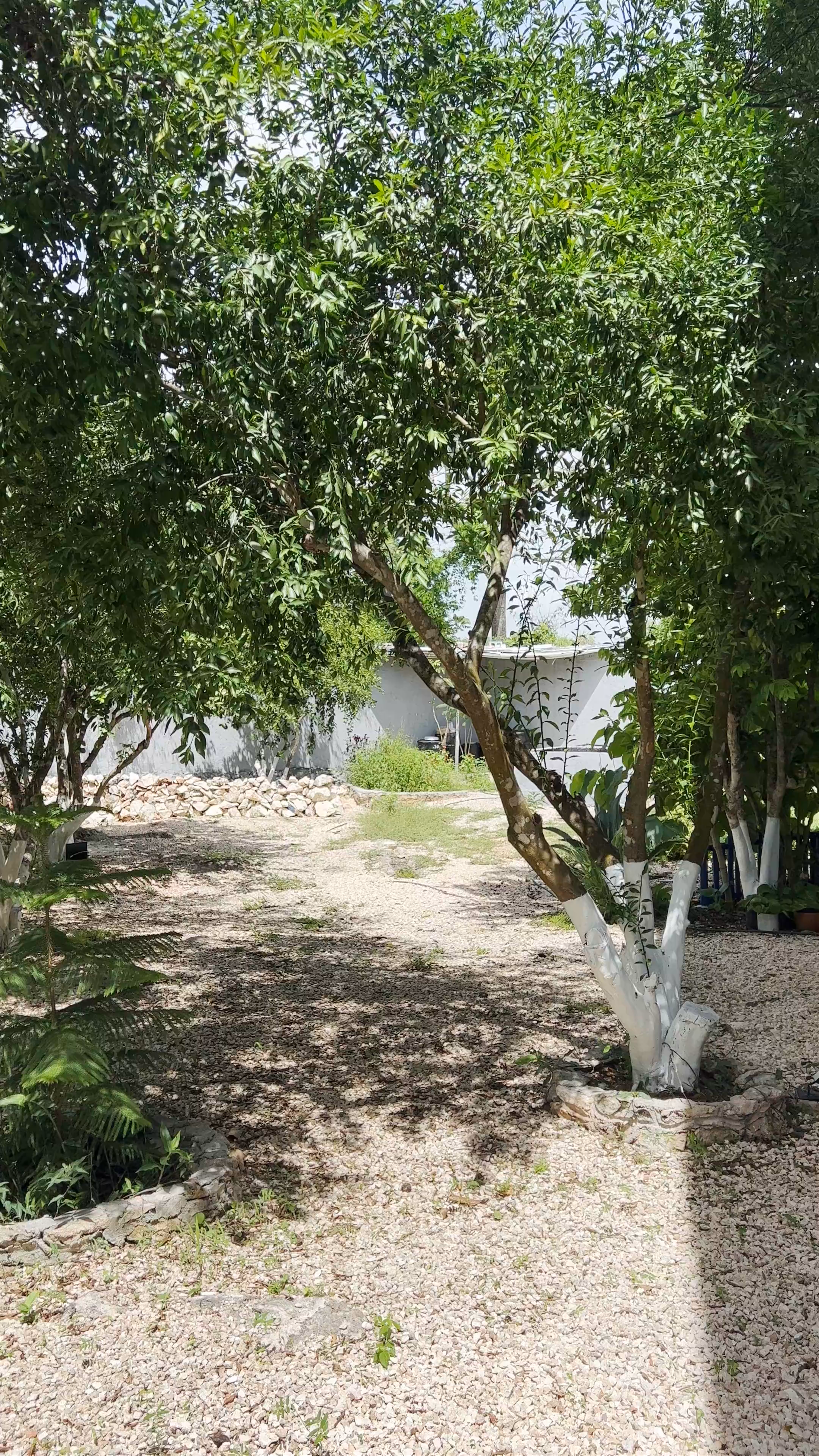 The Blue Eco Lodge