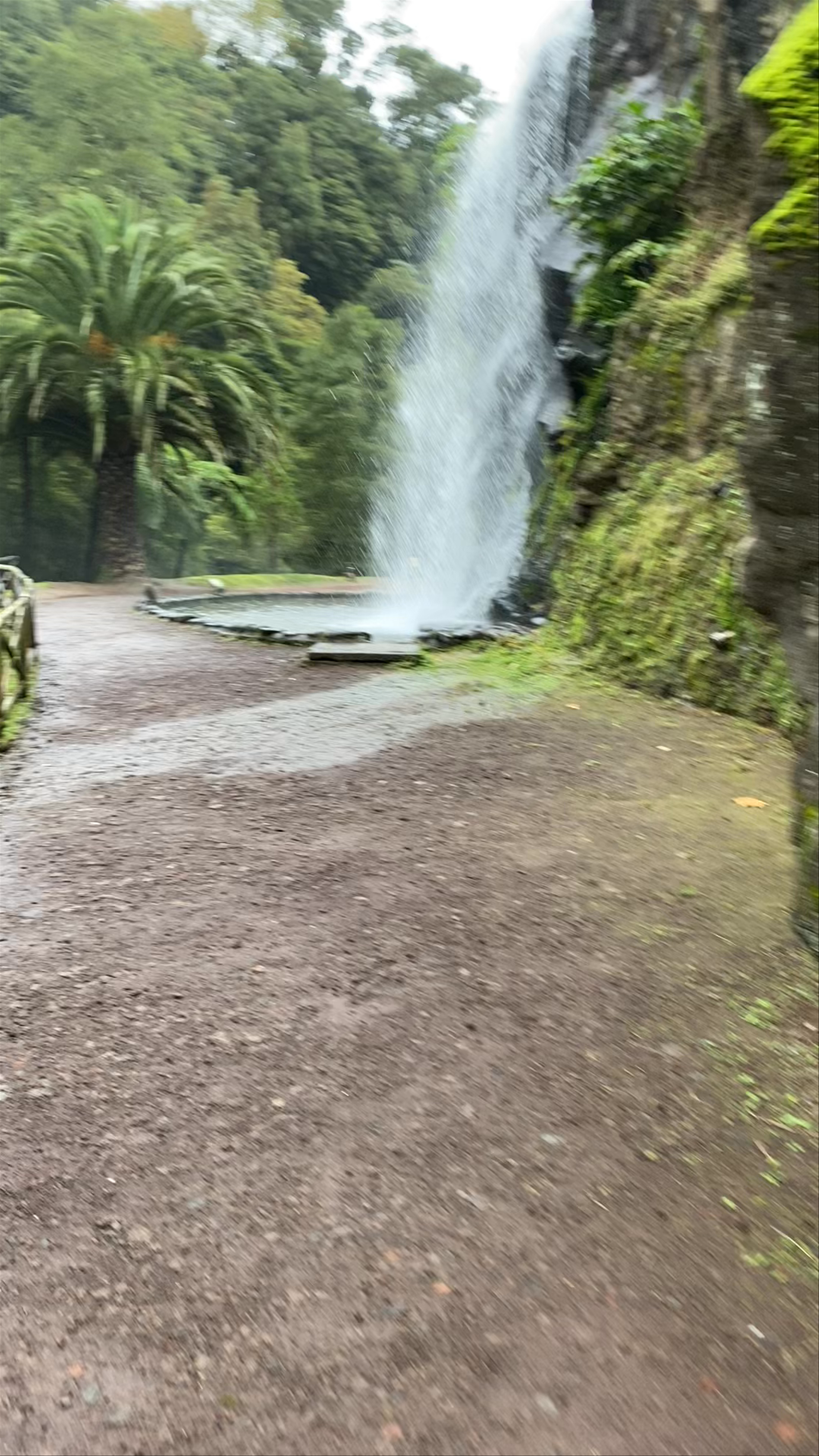 Parque Natural da Ribeira dos Caldeirões