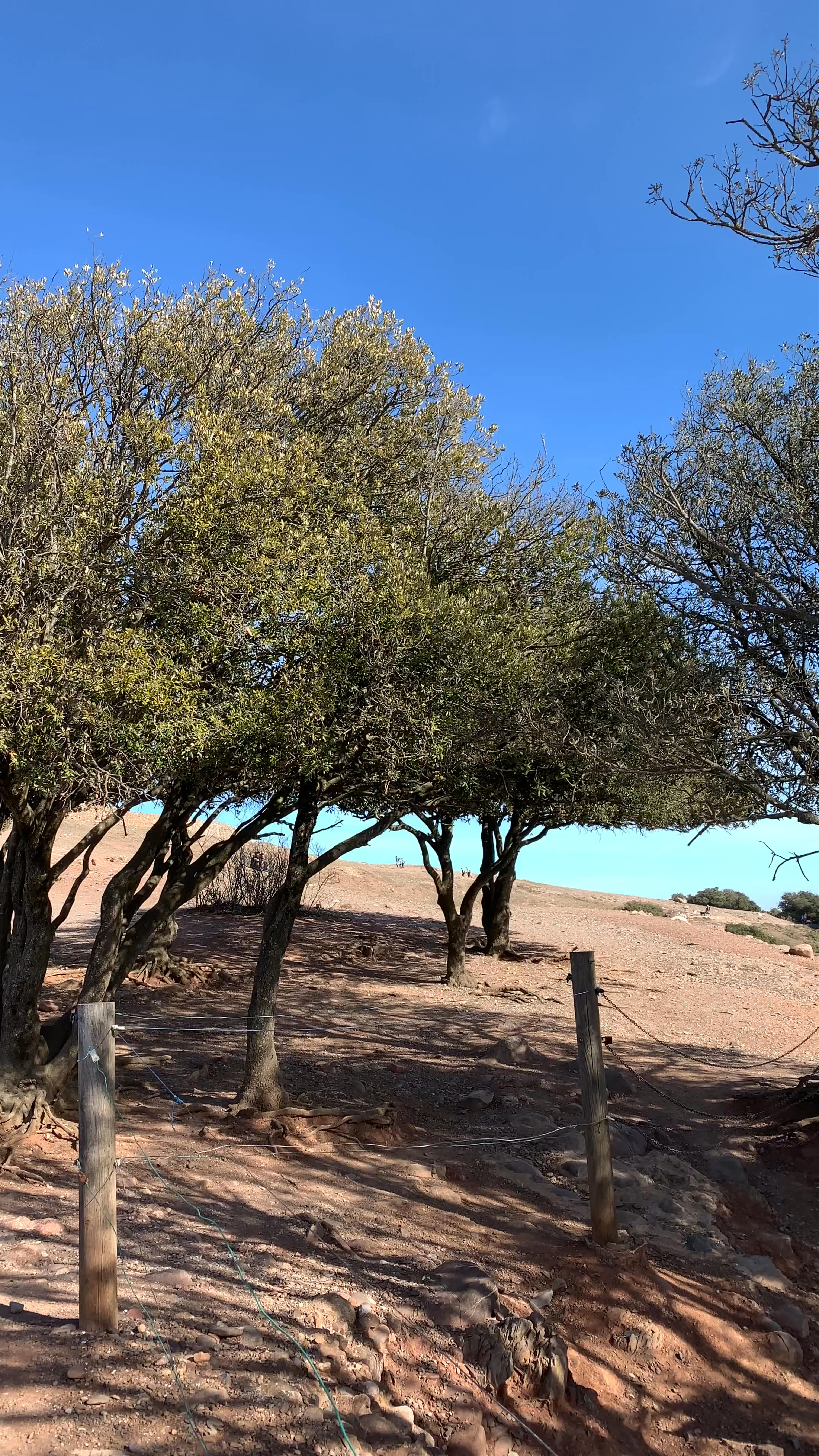 La Mola pel Camí dels Monjos