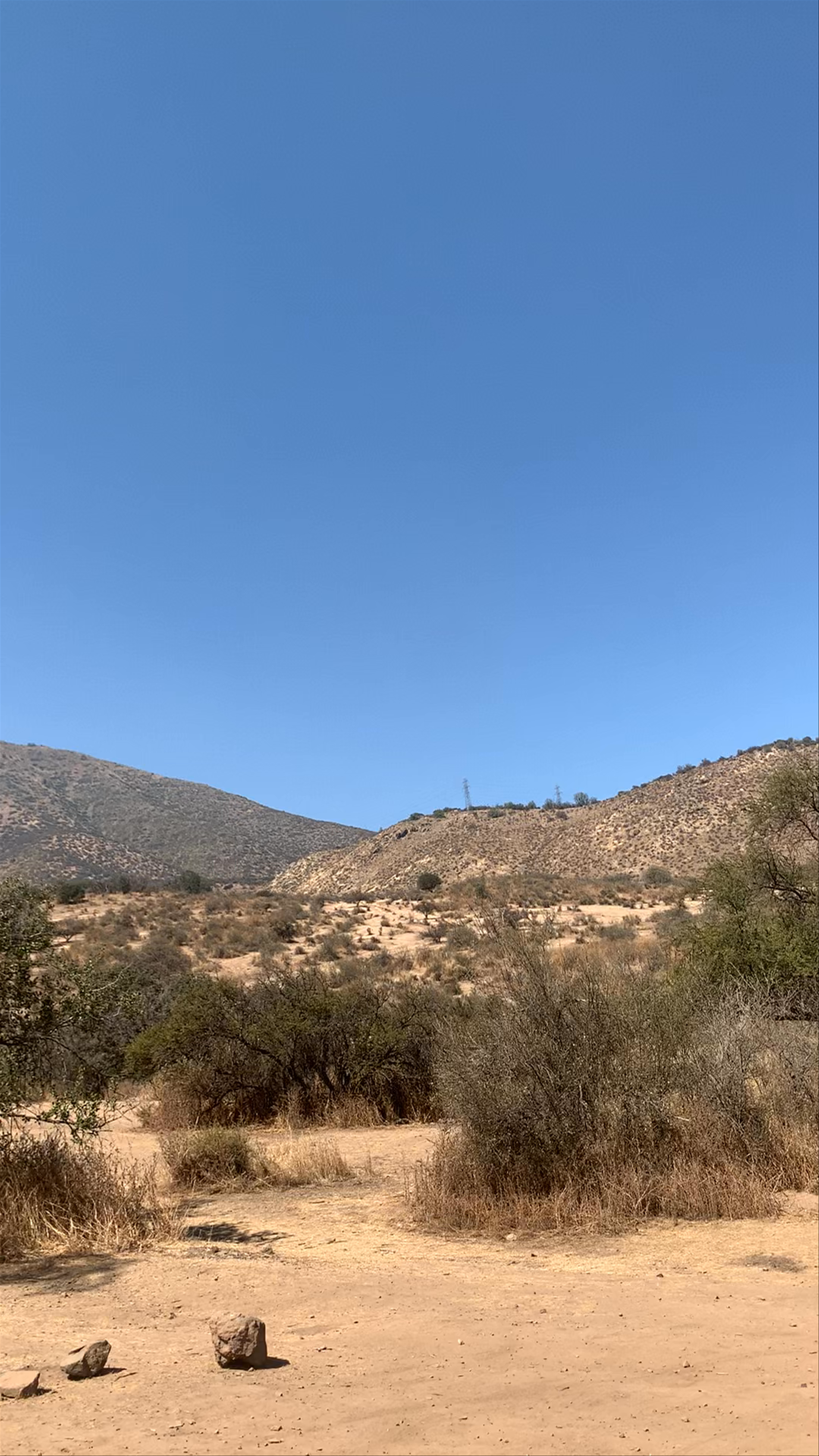 Bosque Panul: Serene Desert Hills near Santiago, Chile