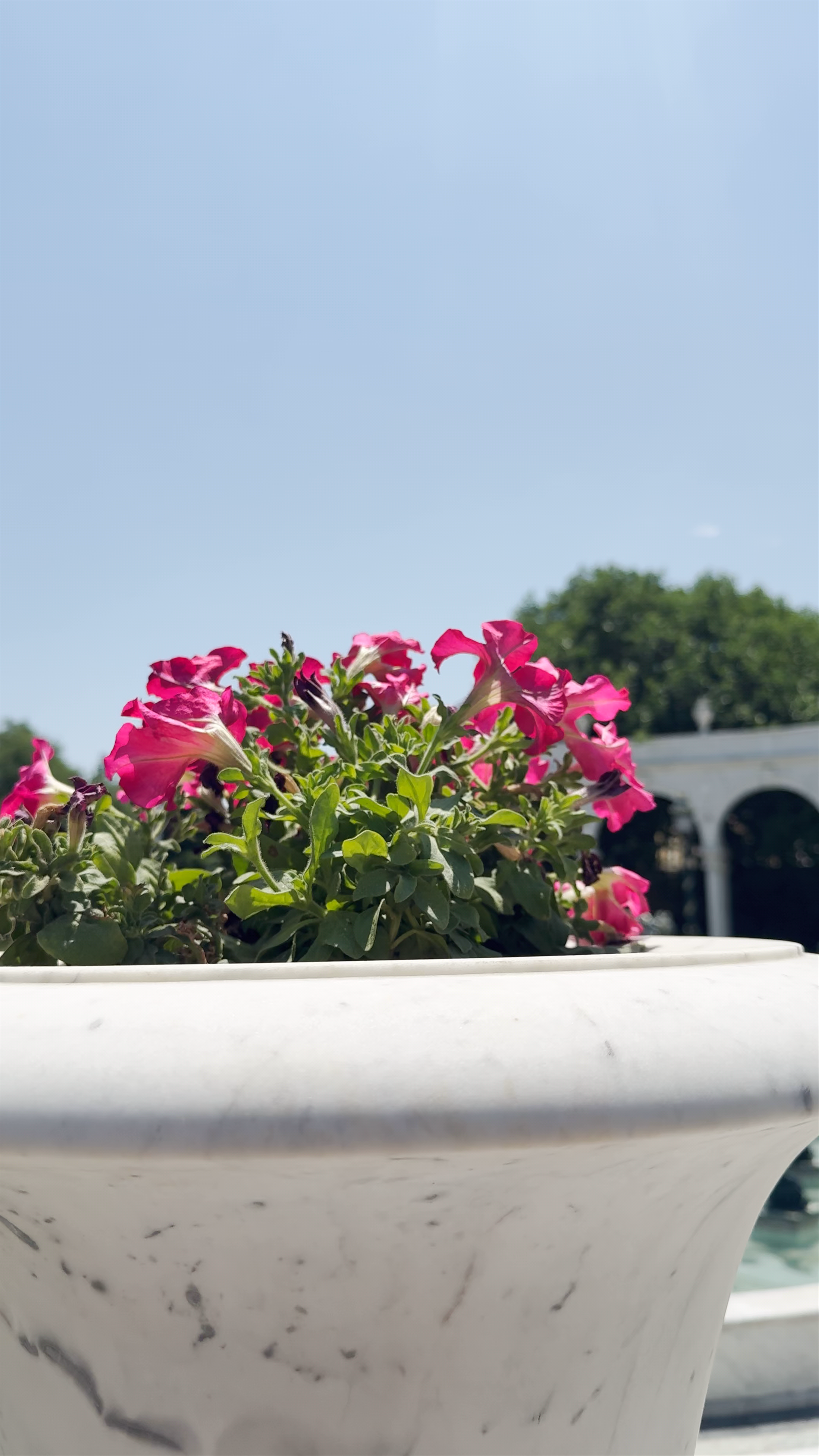 Philharmonic Fountain Park