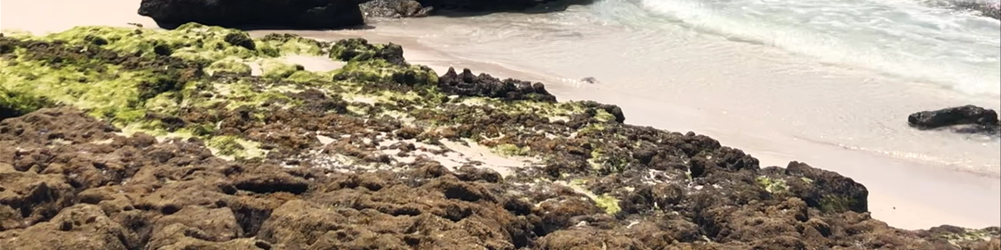 Jervis Bay