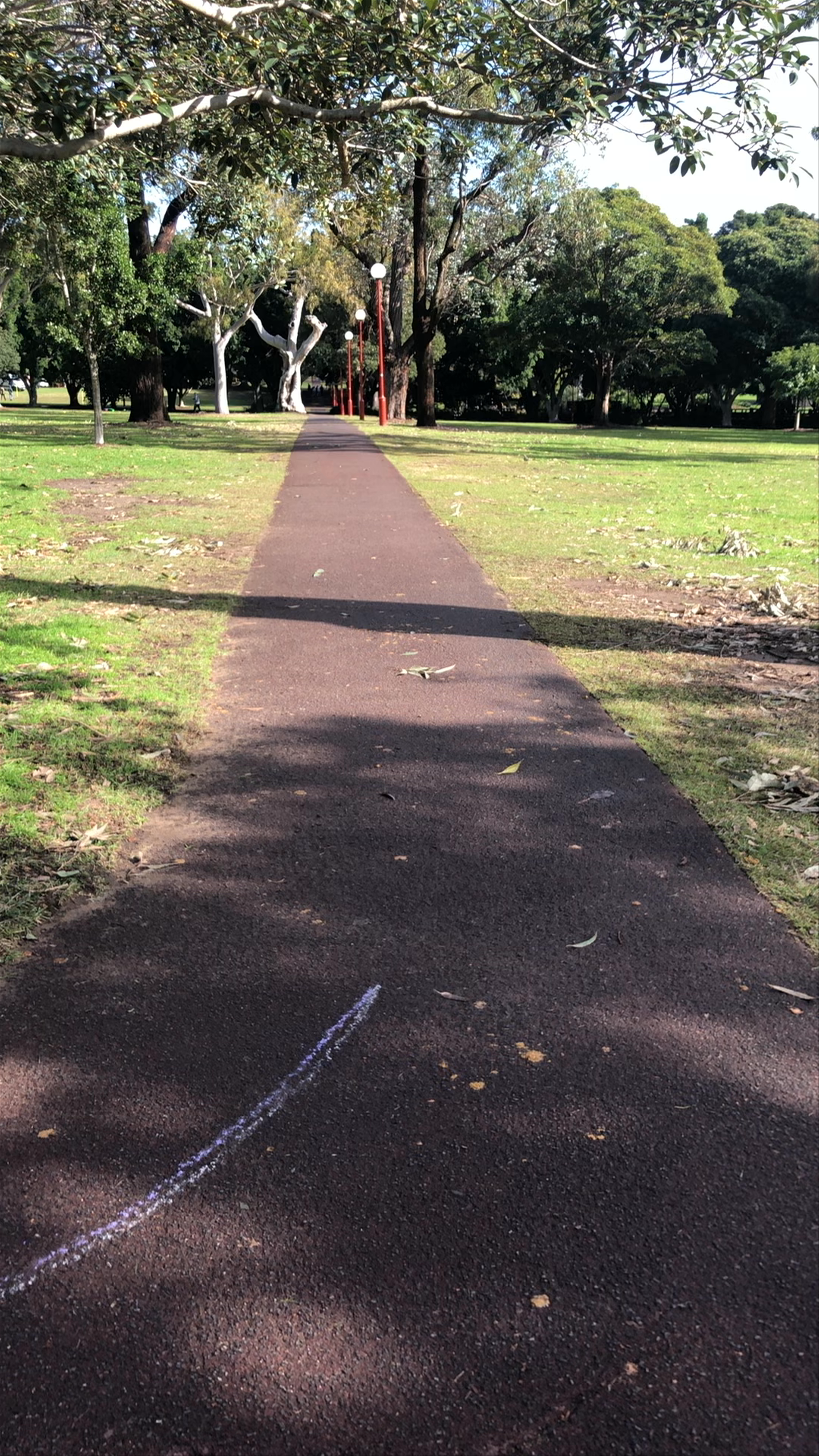 St Leonards Park: A Tranquil Urban Oasis in North Sydney
