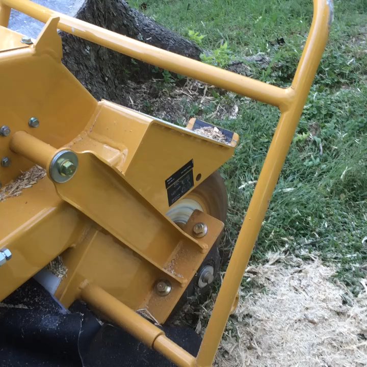 STL Stump Removal - Tree Services Near Me - St. Louis, Missouri