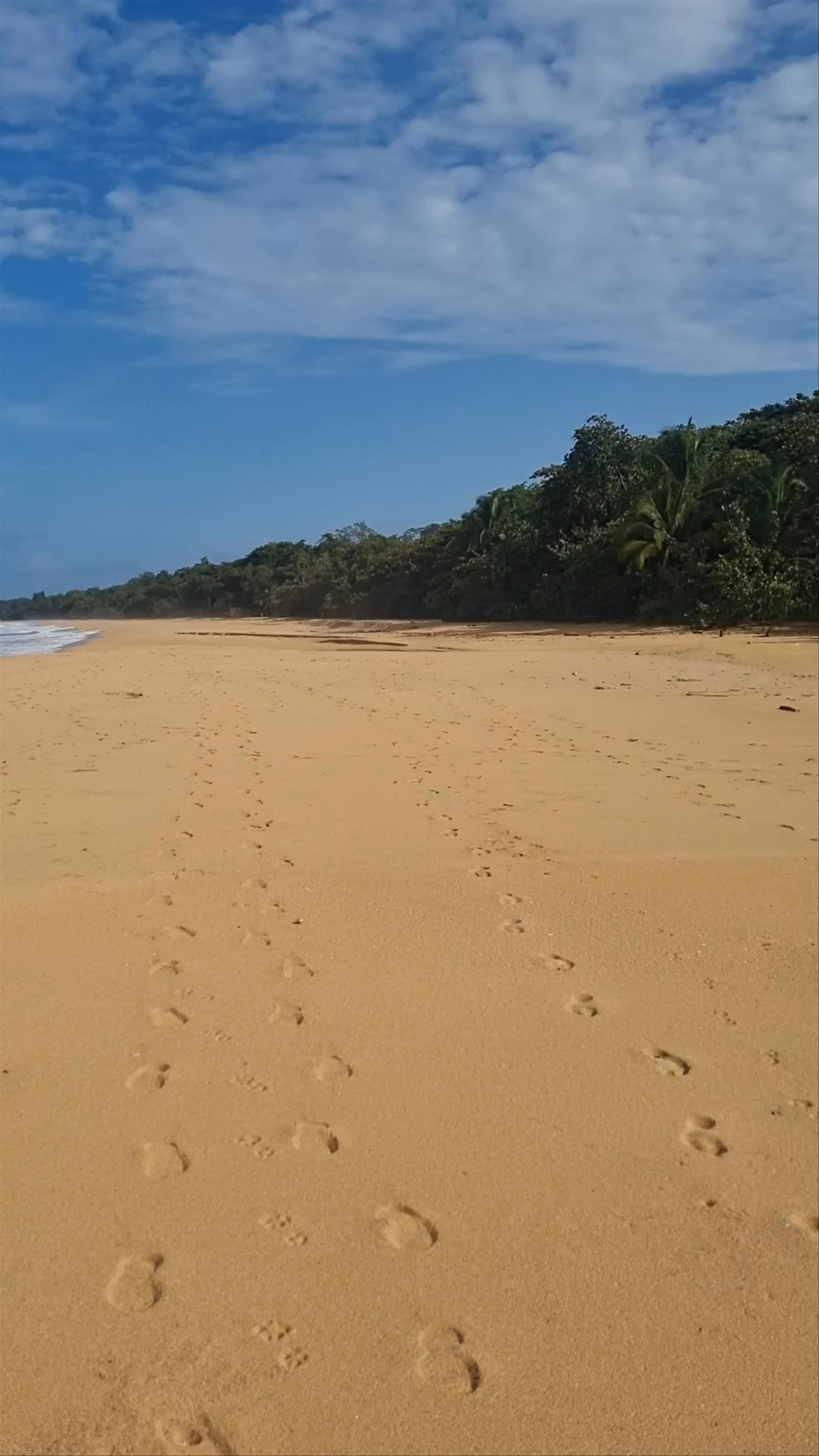 Playa Bluff Beach