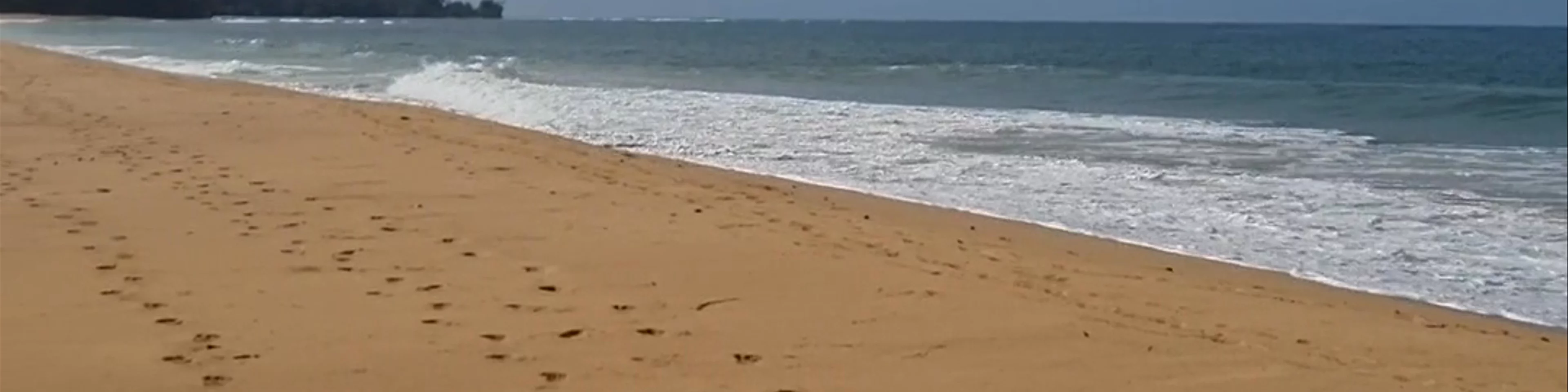 Playa Bluff Beach