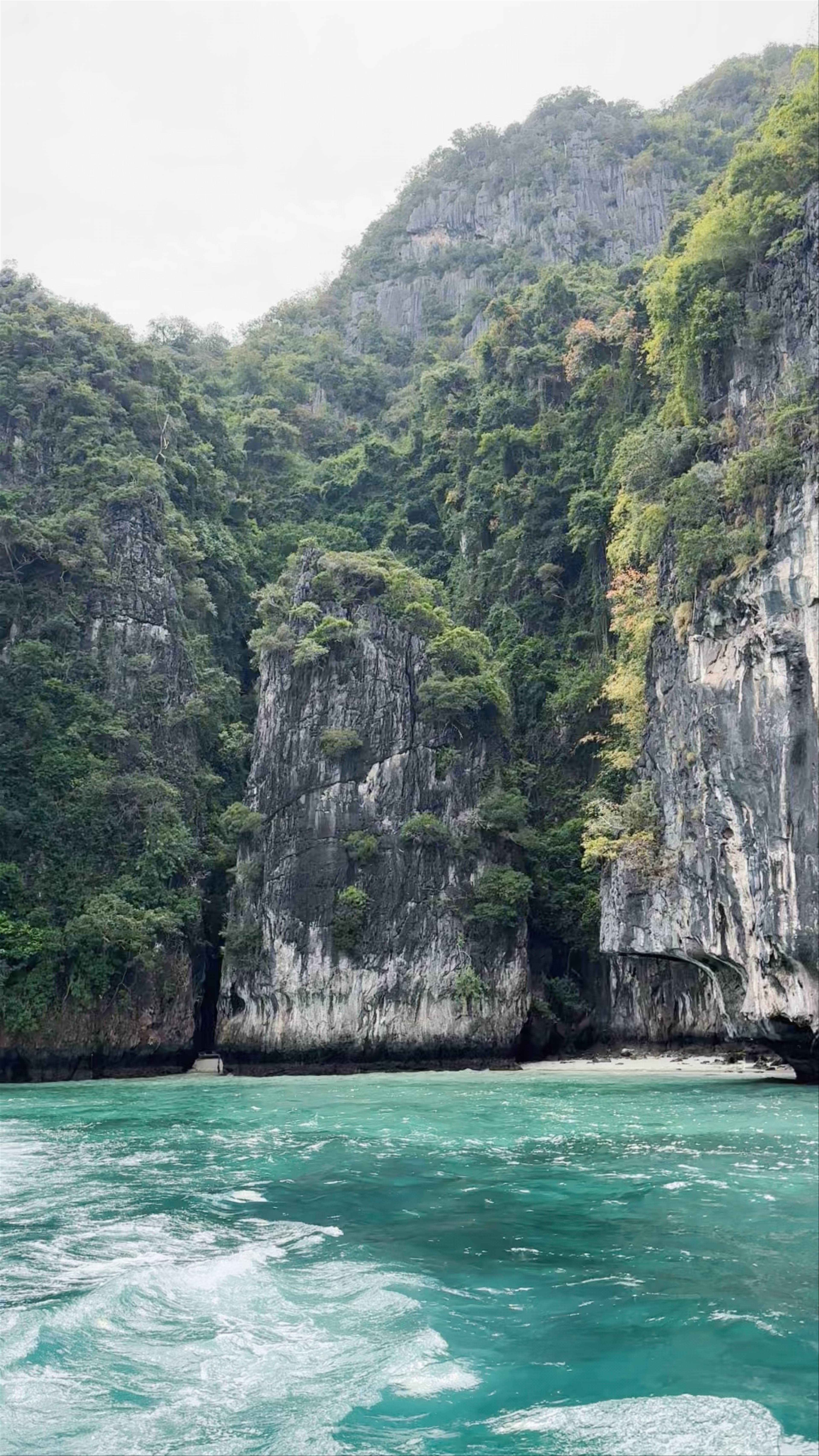 Monkey Bay