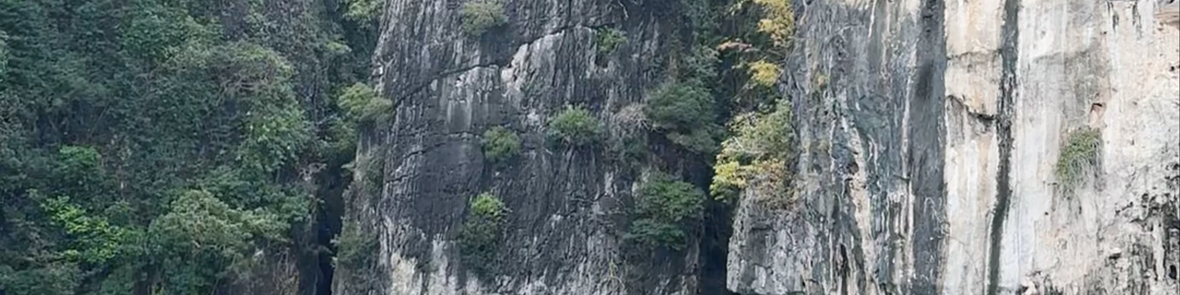 Monkey Bay