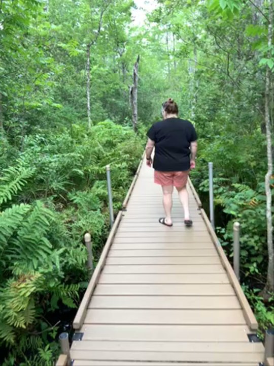 Orono Bog Boardwalk - Between stop one and two - Parks Near Me - Bangor, Maine