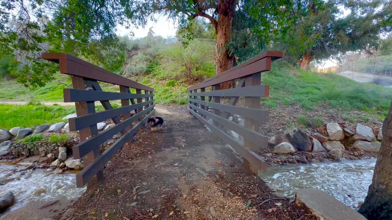 Bee Canyon Park - Bridges over stream nice to walk on - Parks Near Me - Los Angeles, California