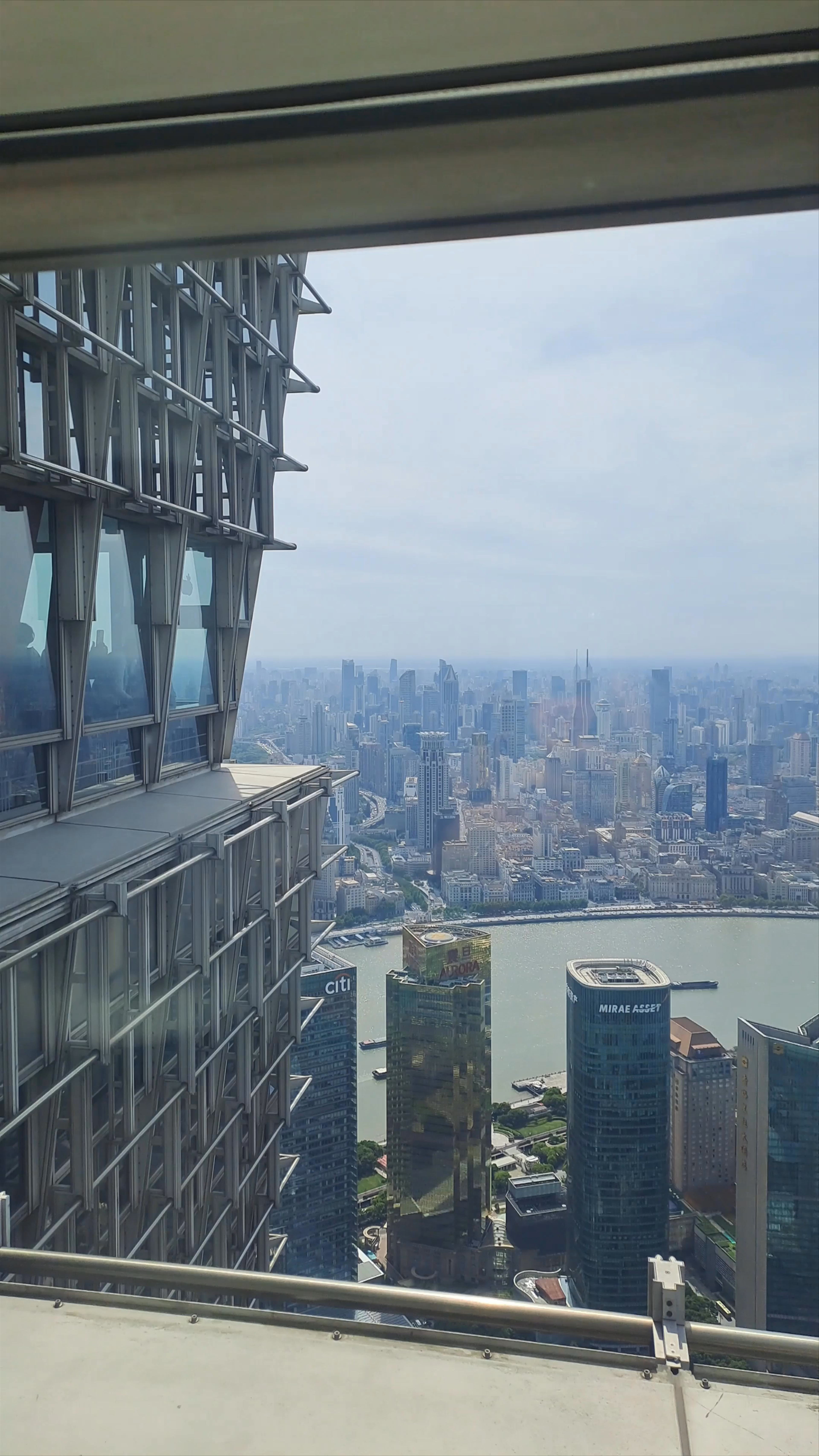 Breathtaking Shanghai Skyline from Jin Mao Tower Observation Deck