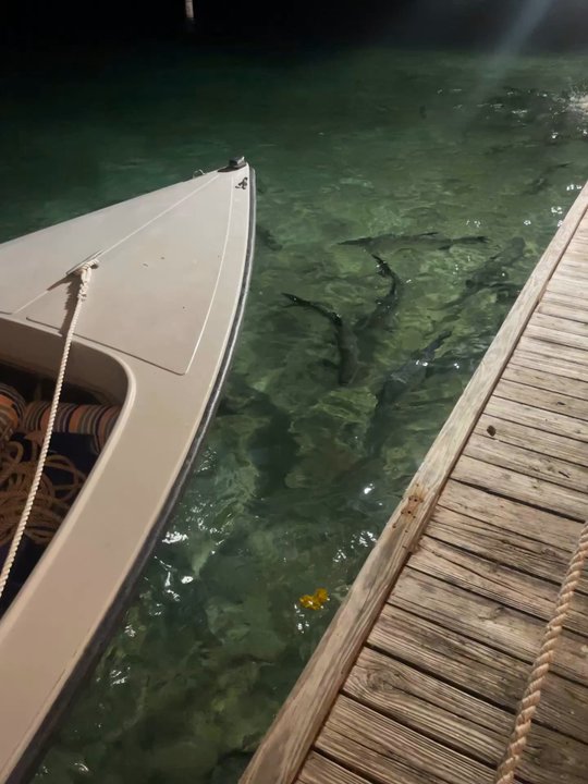 Dinghy Dock - Tarpon - Caribbean Near Me - Culebra, Puerto Rico