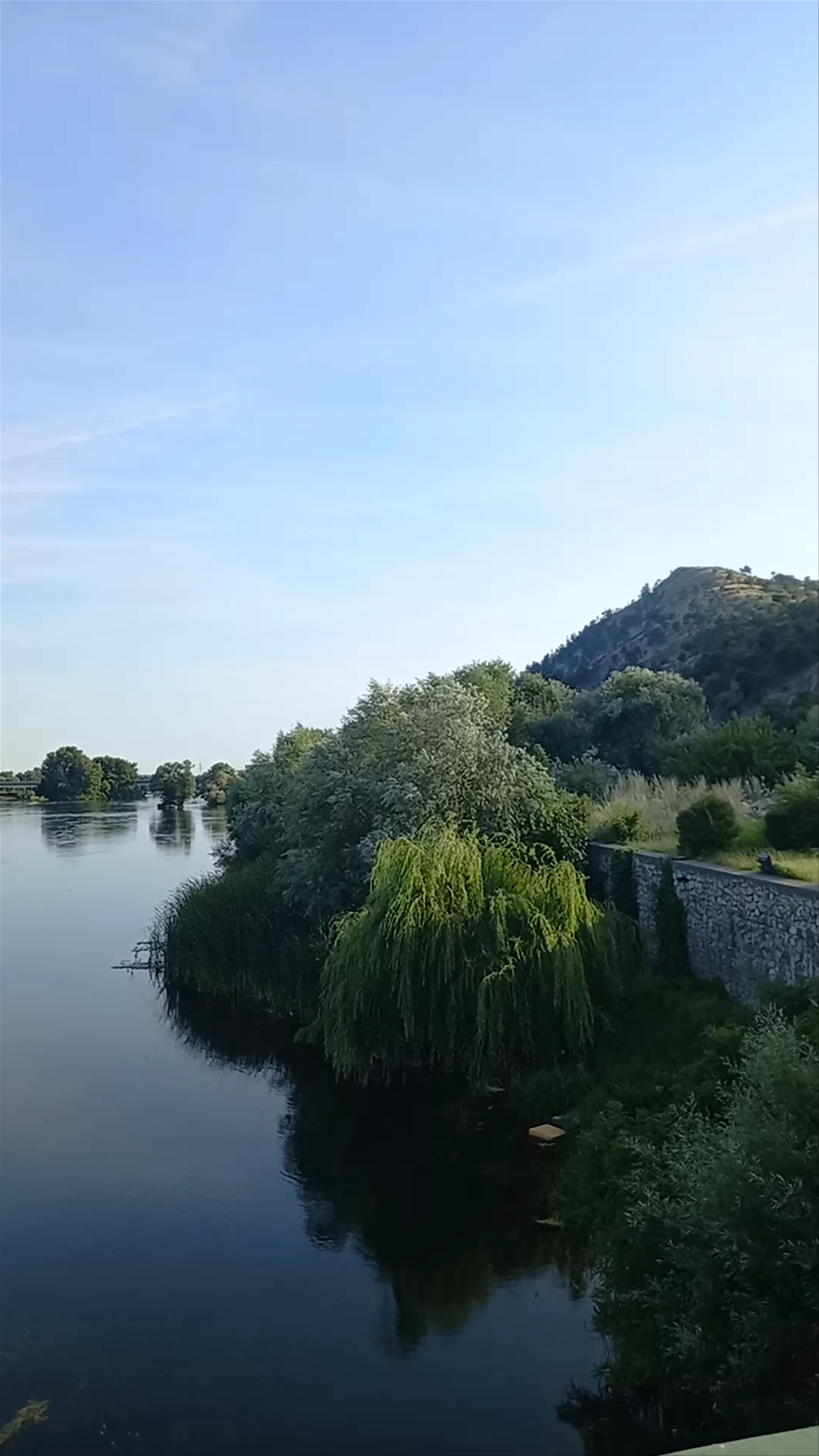 Xhamia e Urës së Bunës