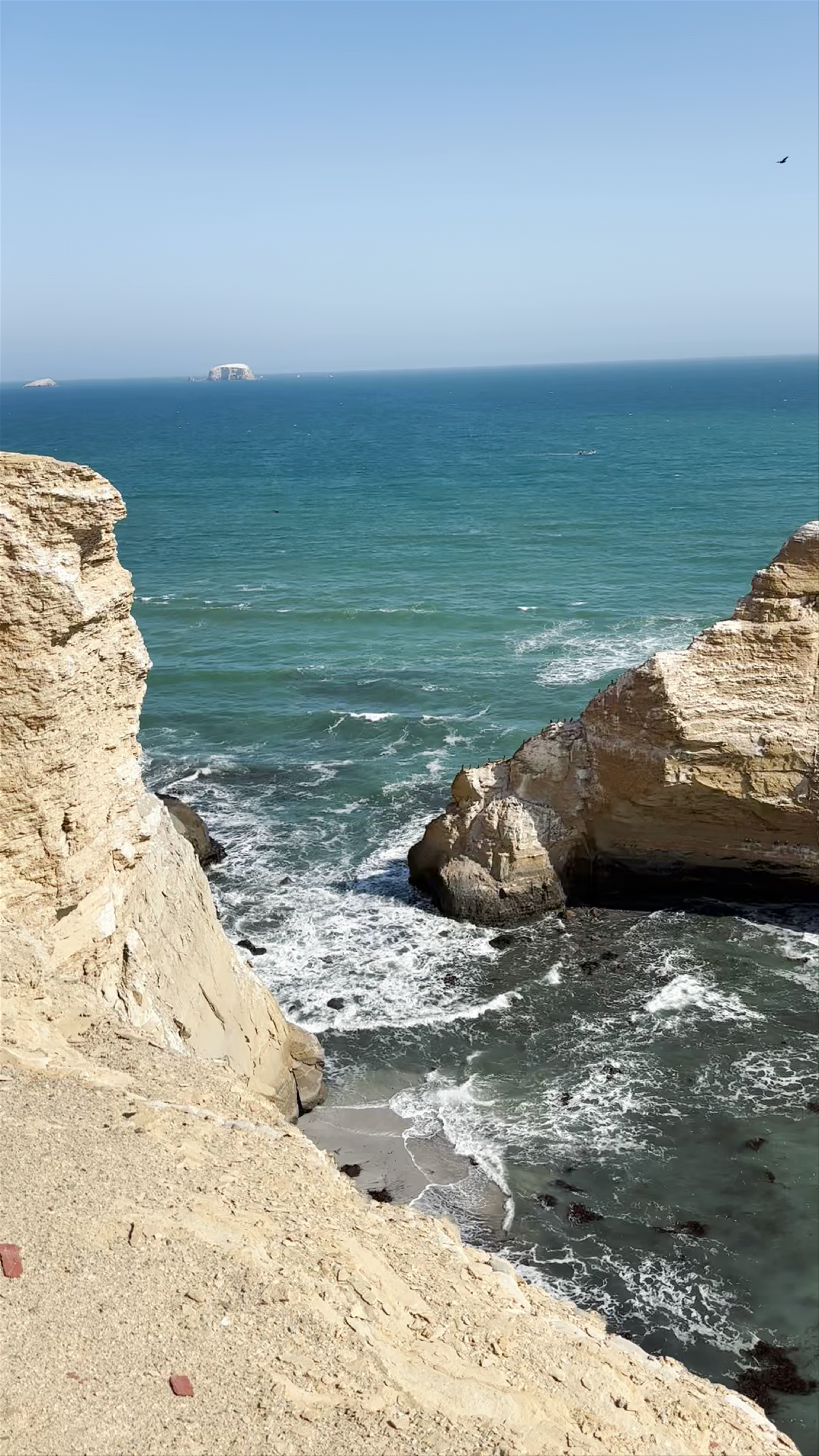 Paracas National Reserve