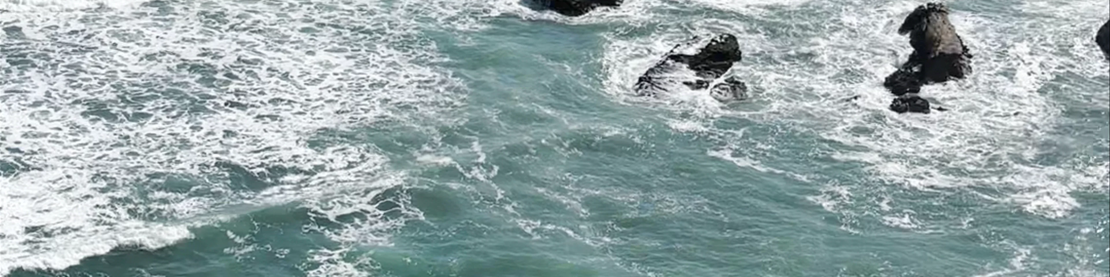 Paracas National Reserve