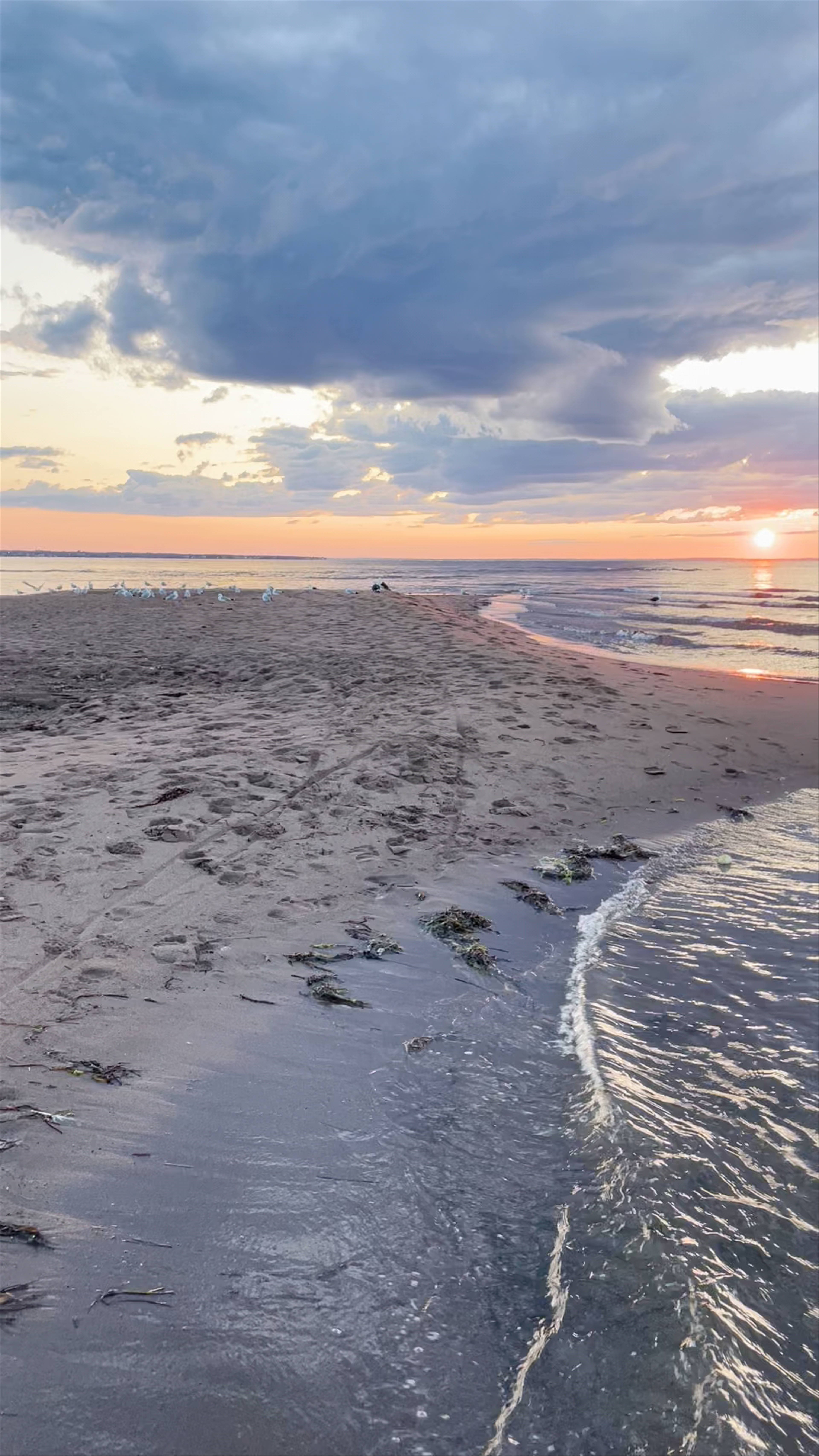 Plage Aboiteau Beach