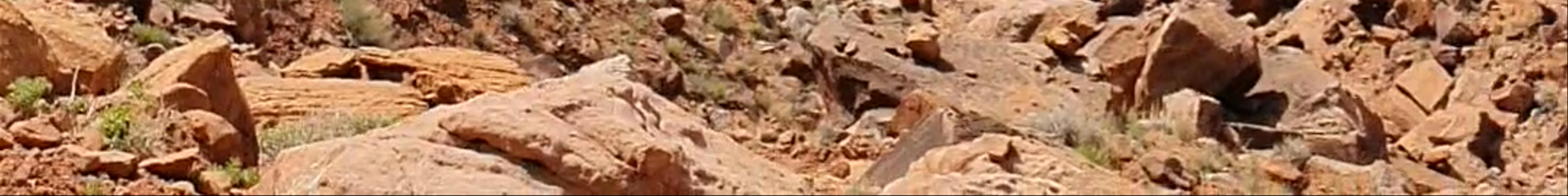 Tours & experiences in Moab
