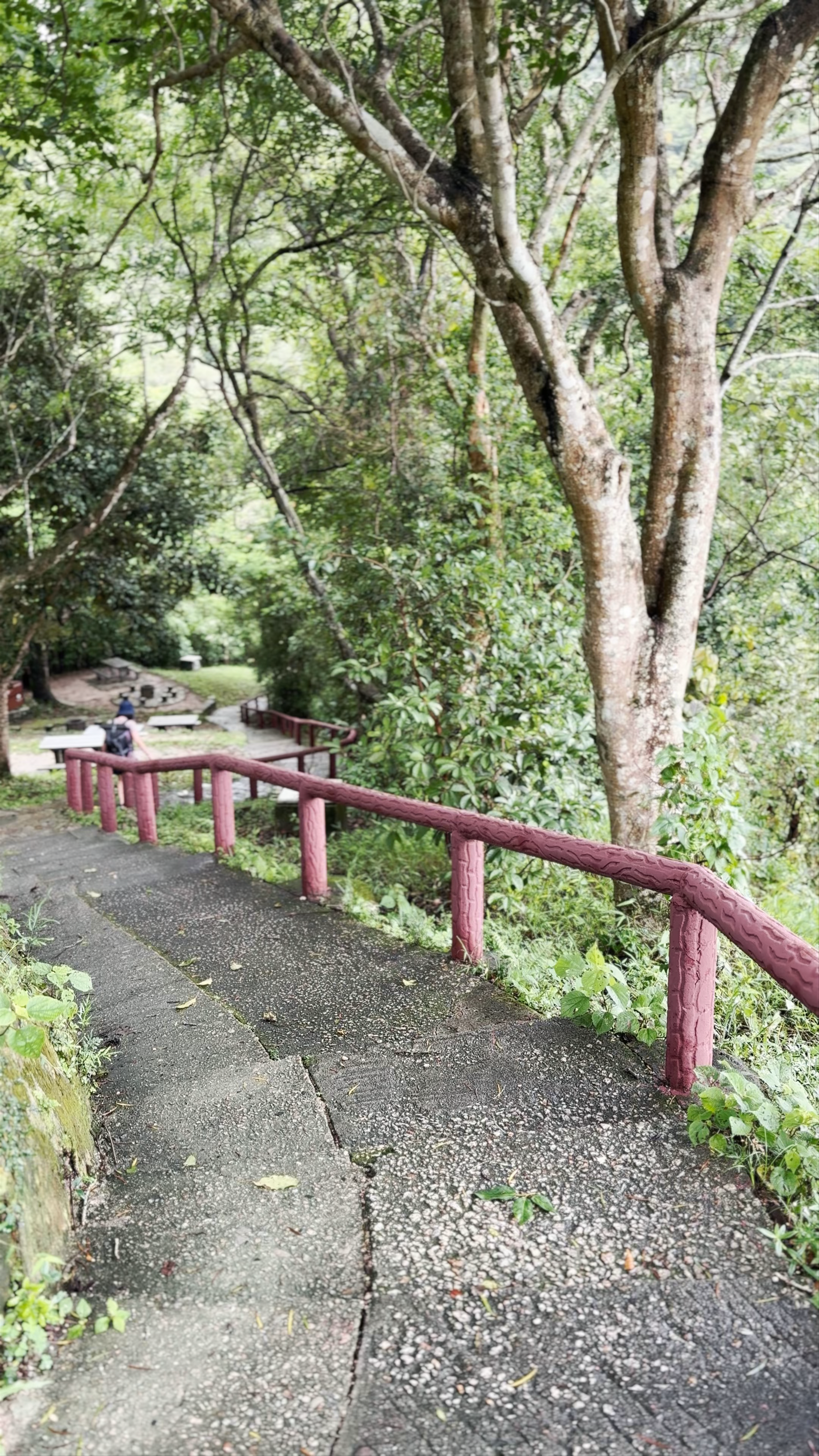 Bride's Pool Nature Trail: Serene Hiking Escape in Hong Kong's Shuen Wan