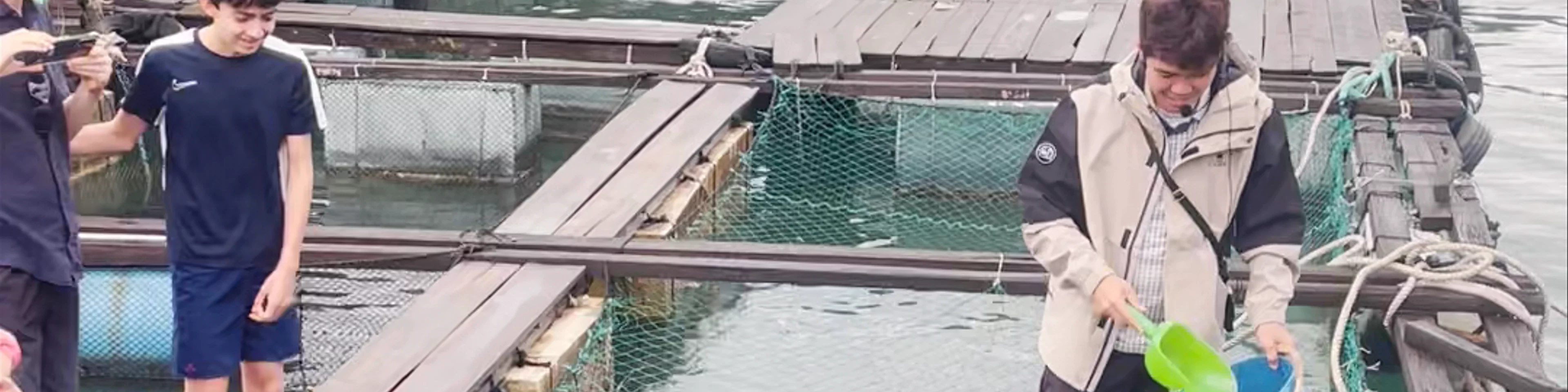 Fish Farm