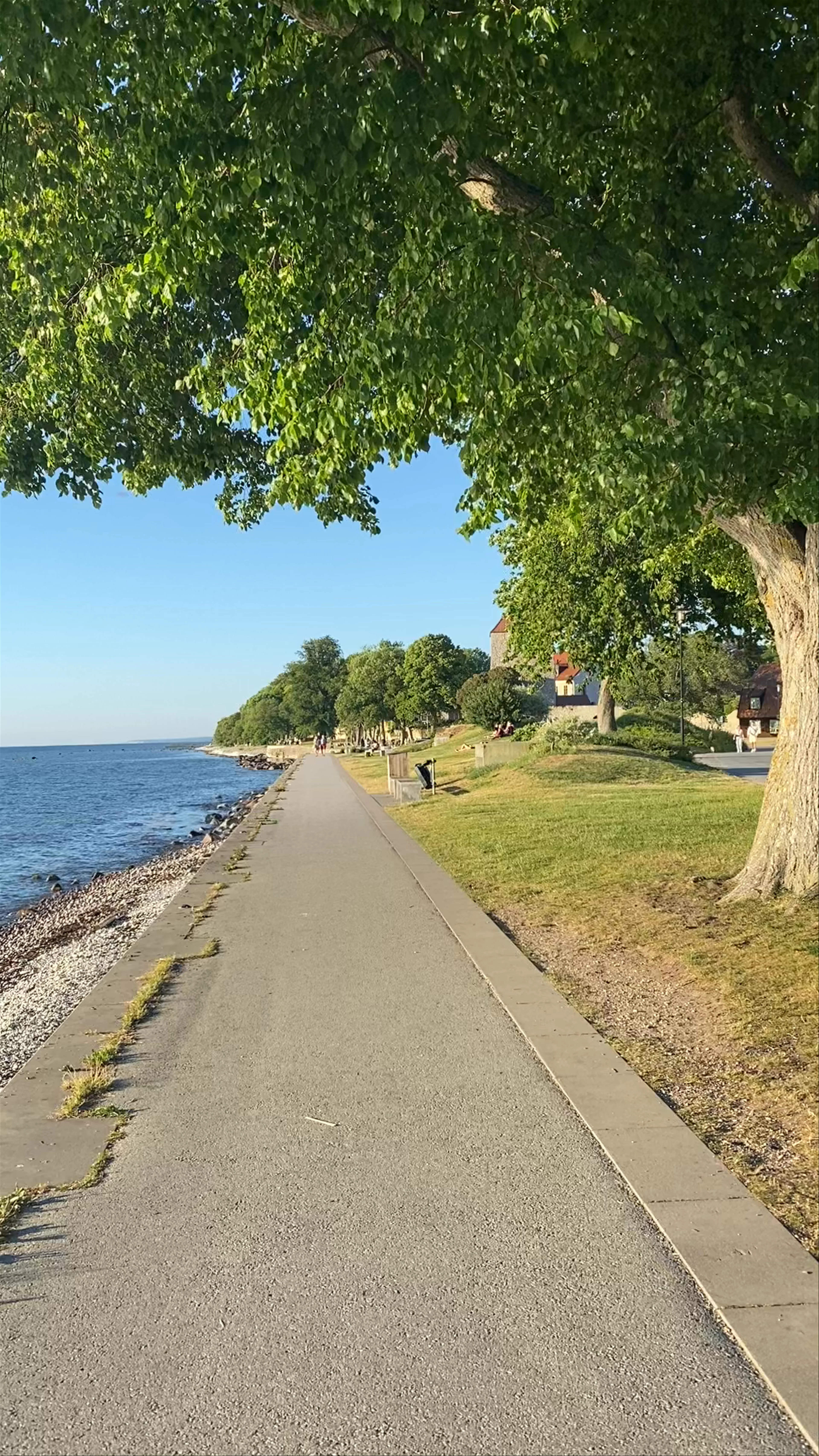 Almedalen, Strandvägen