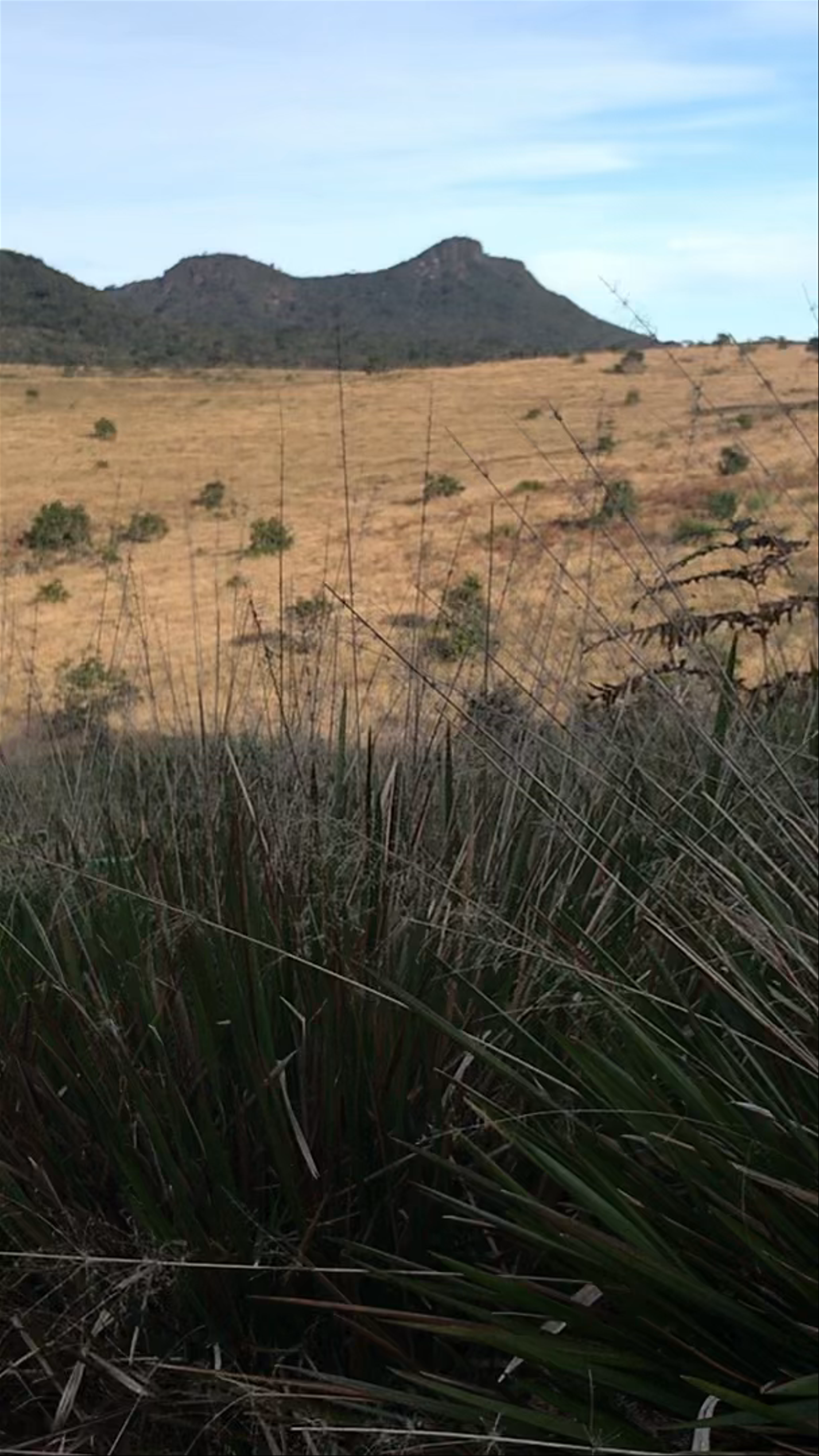 Exploring Horton Plains National Park: A Serene Trek through Sri Lanka’s Untouched Highlands