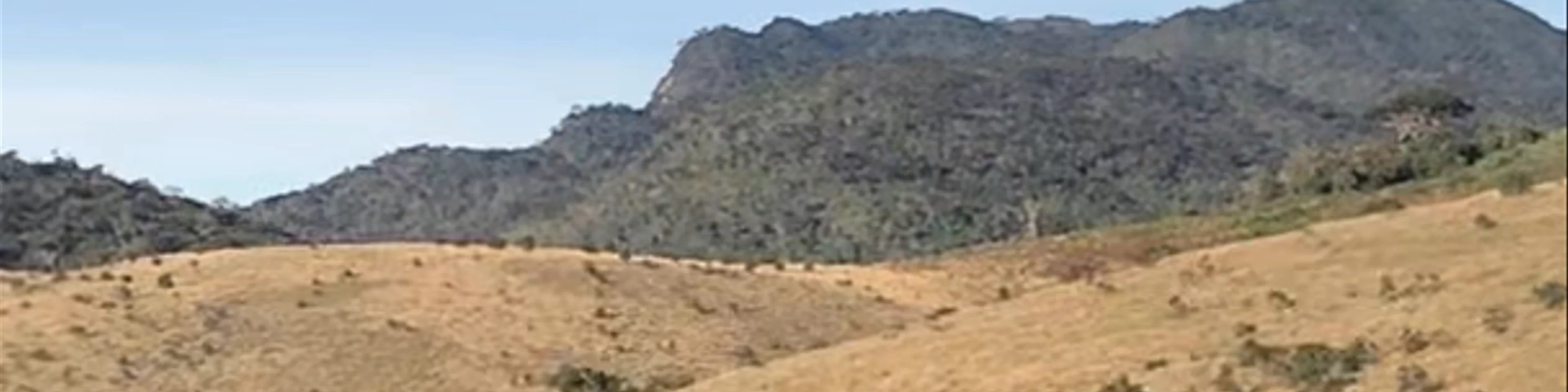 Horton Plains National Park
