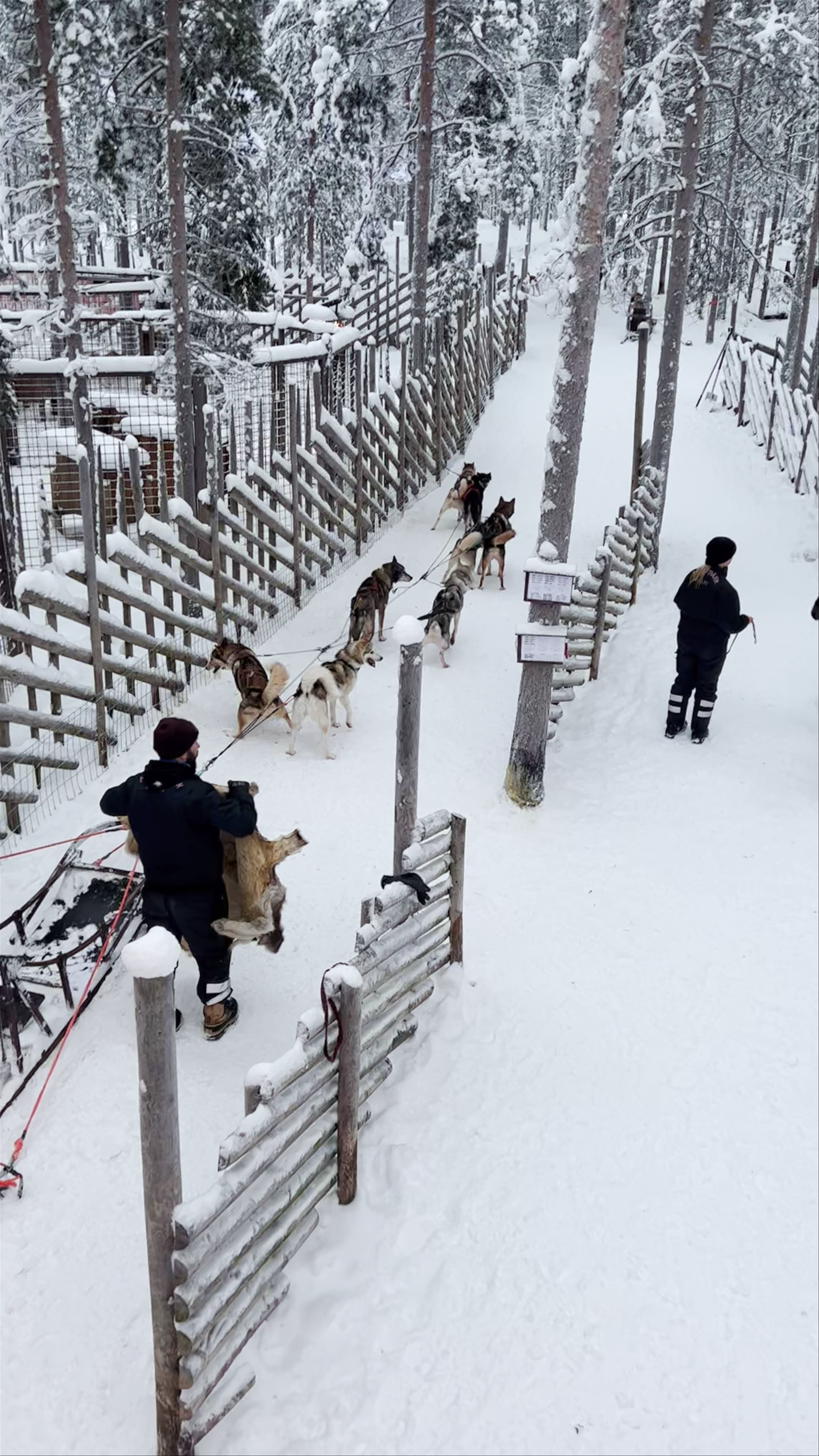 Arctic Circle Husky Park