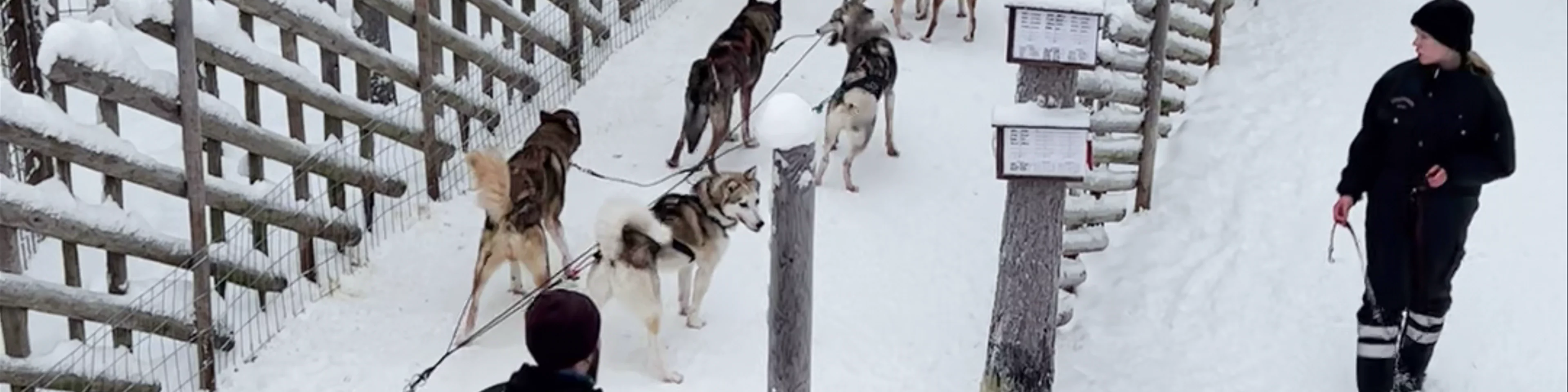 Arctic Circle Husky Park