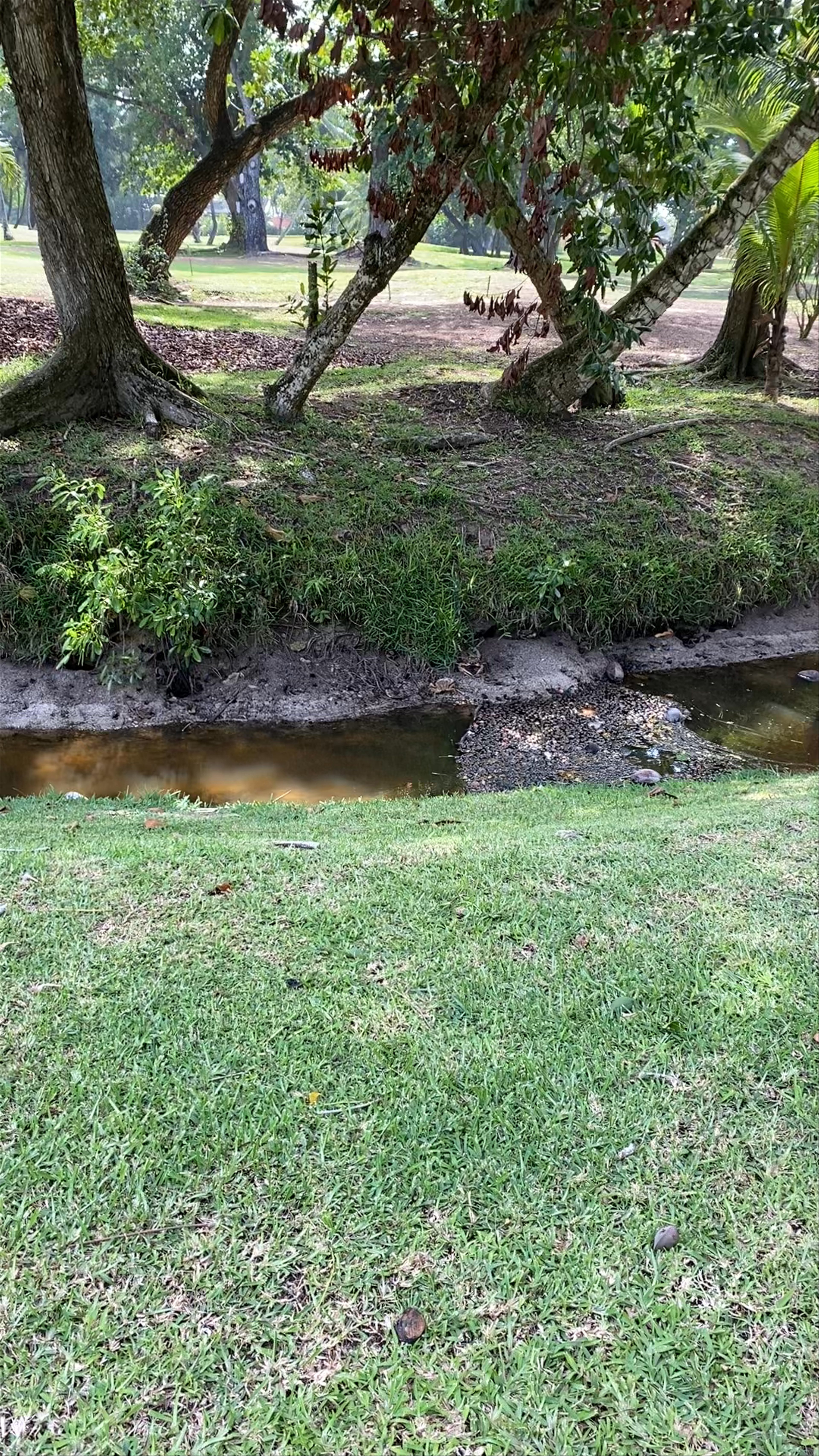 Constance Lemuria Praslin Seychelles