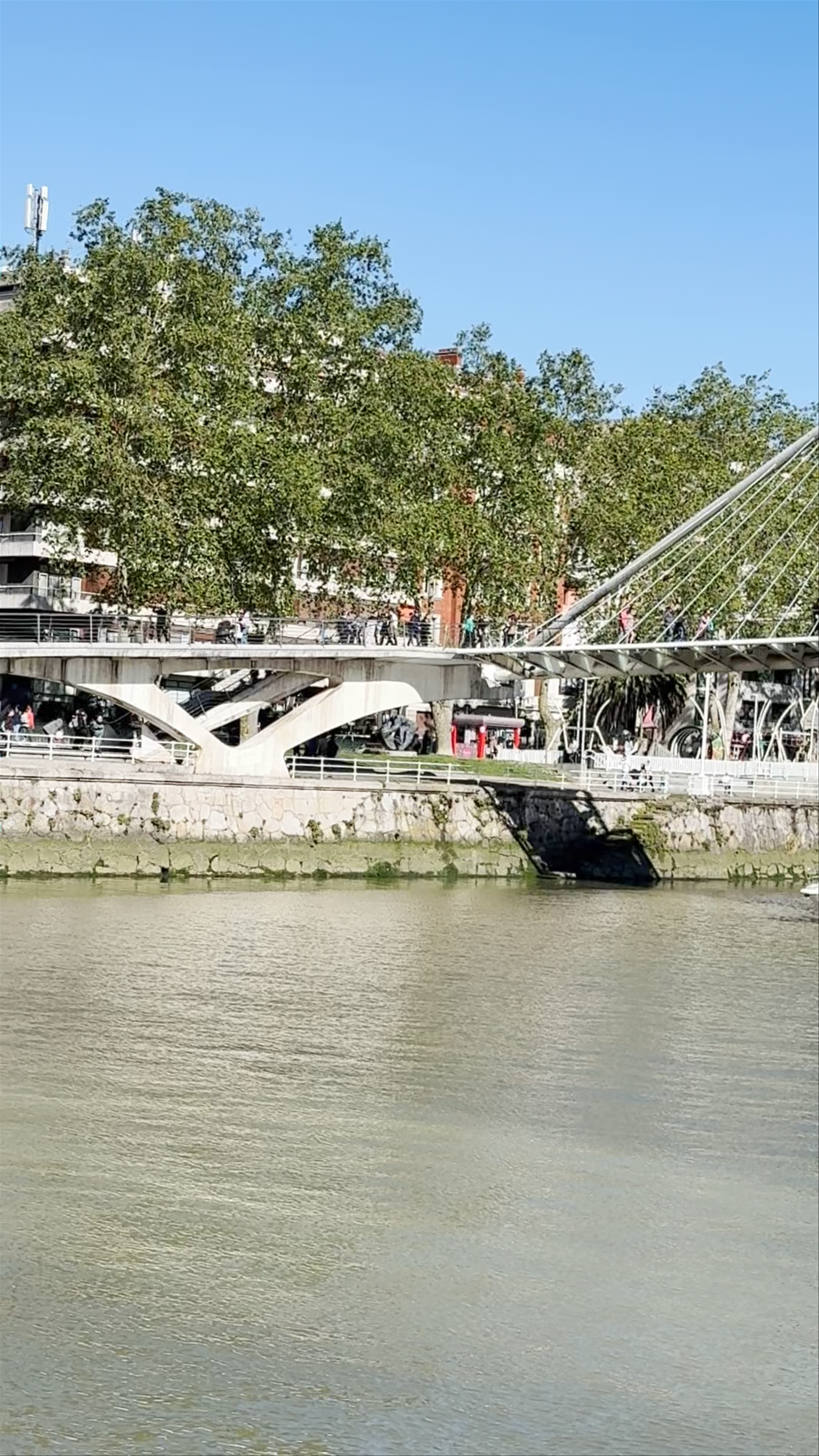 Puente Zubizuri