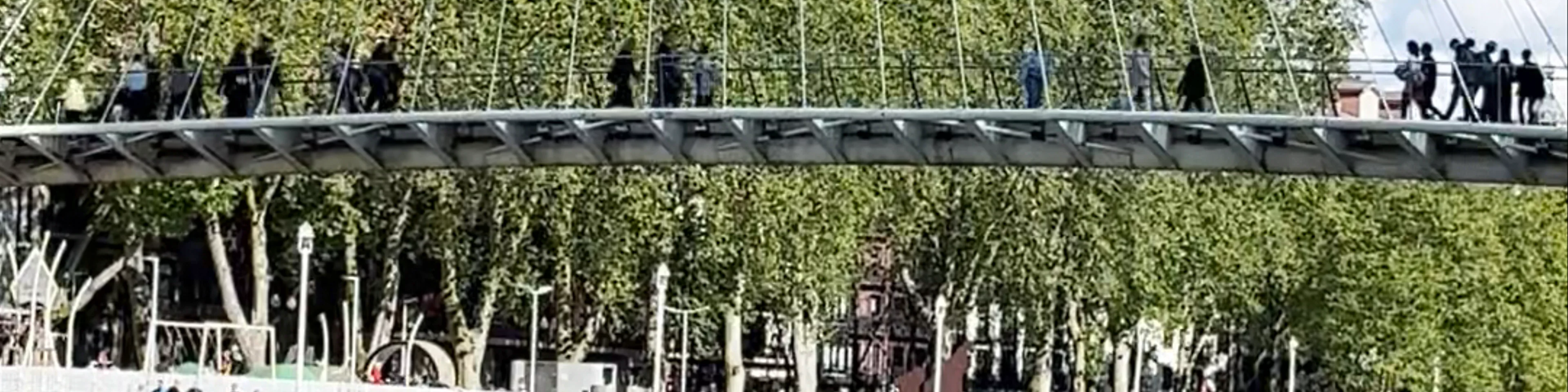 Puente Zubizuri