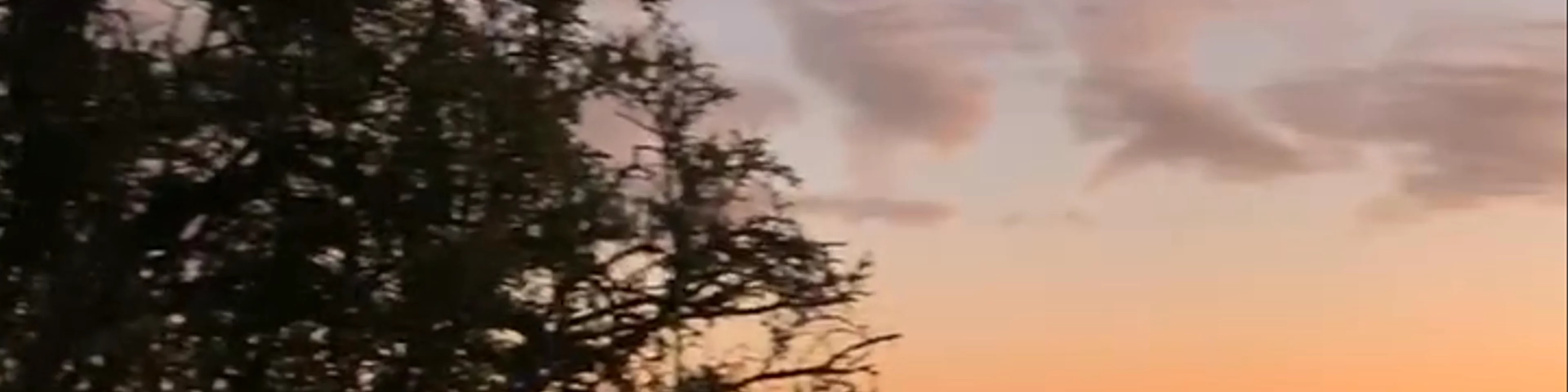 Cerro Manquehuito