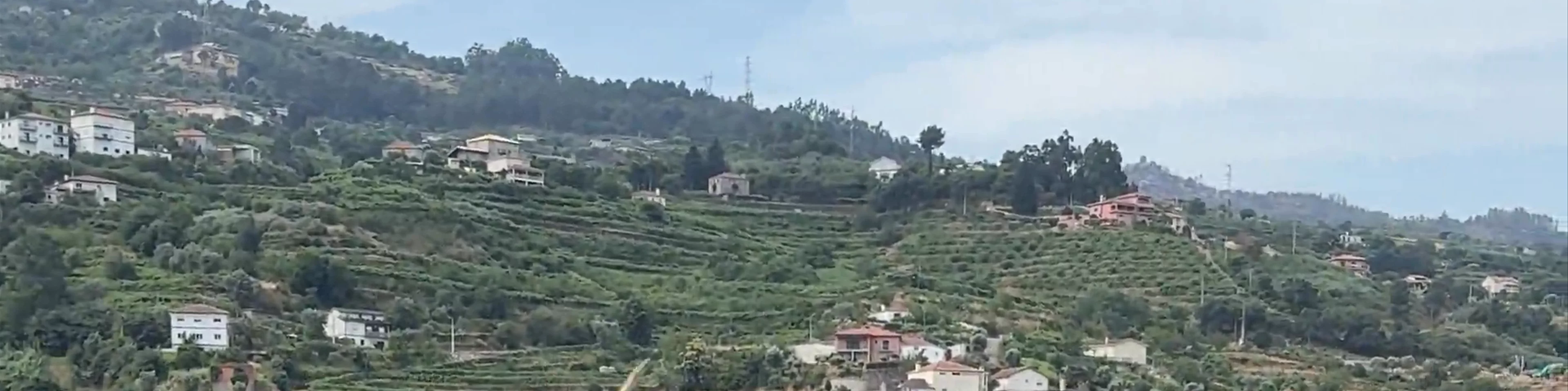 Train from Pinhao to Port 