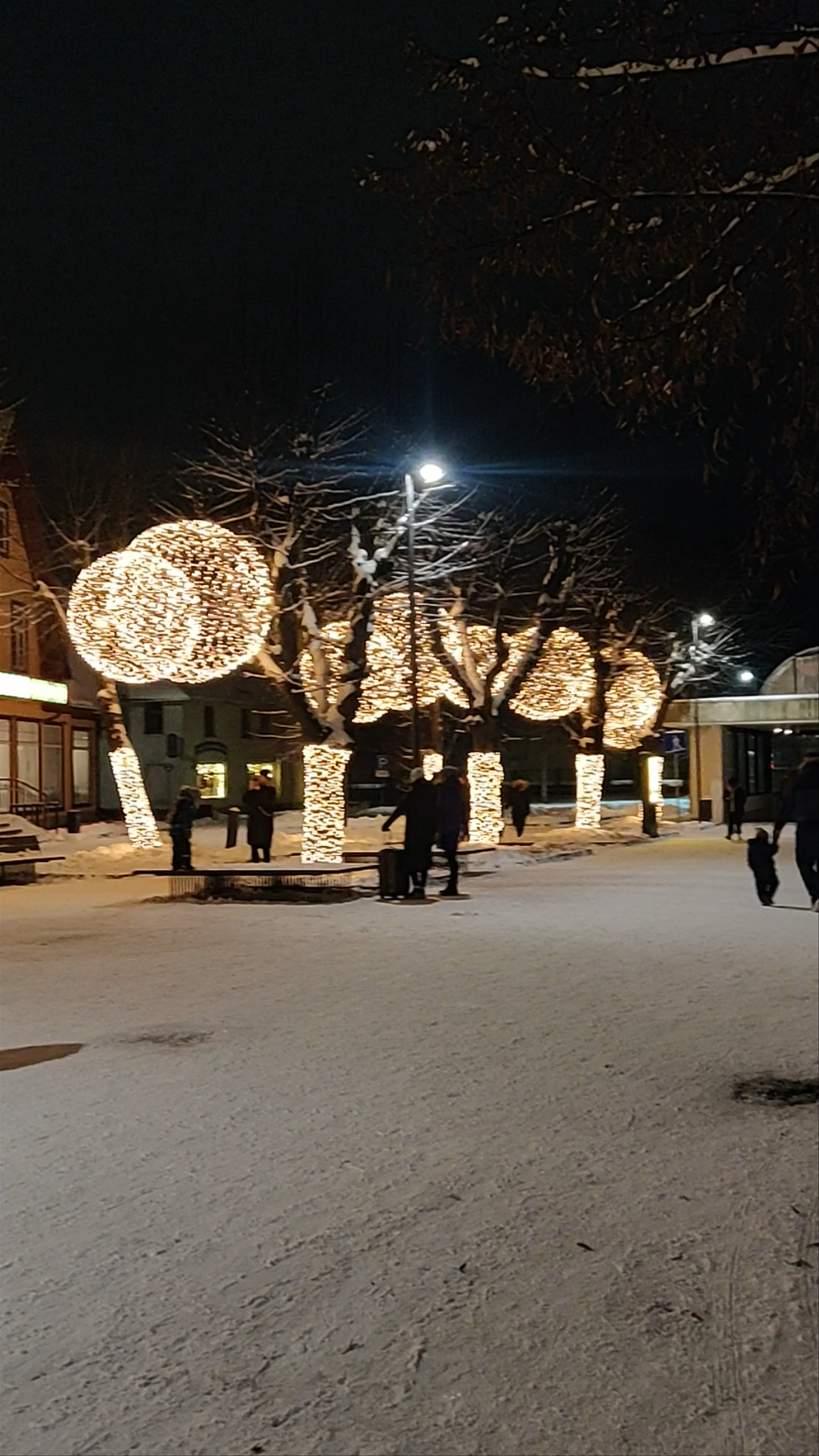 Enchanting Winter Evening at Ogres Pilsētas Skvērs, Latvia