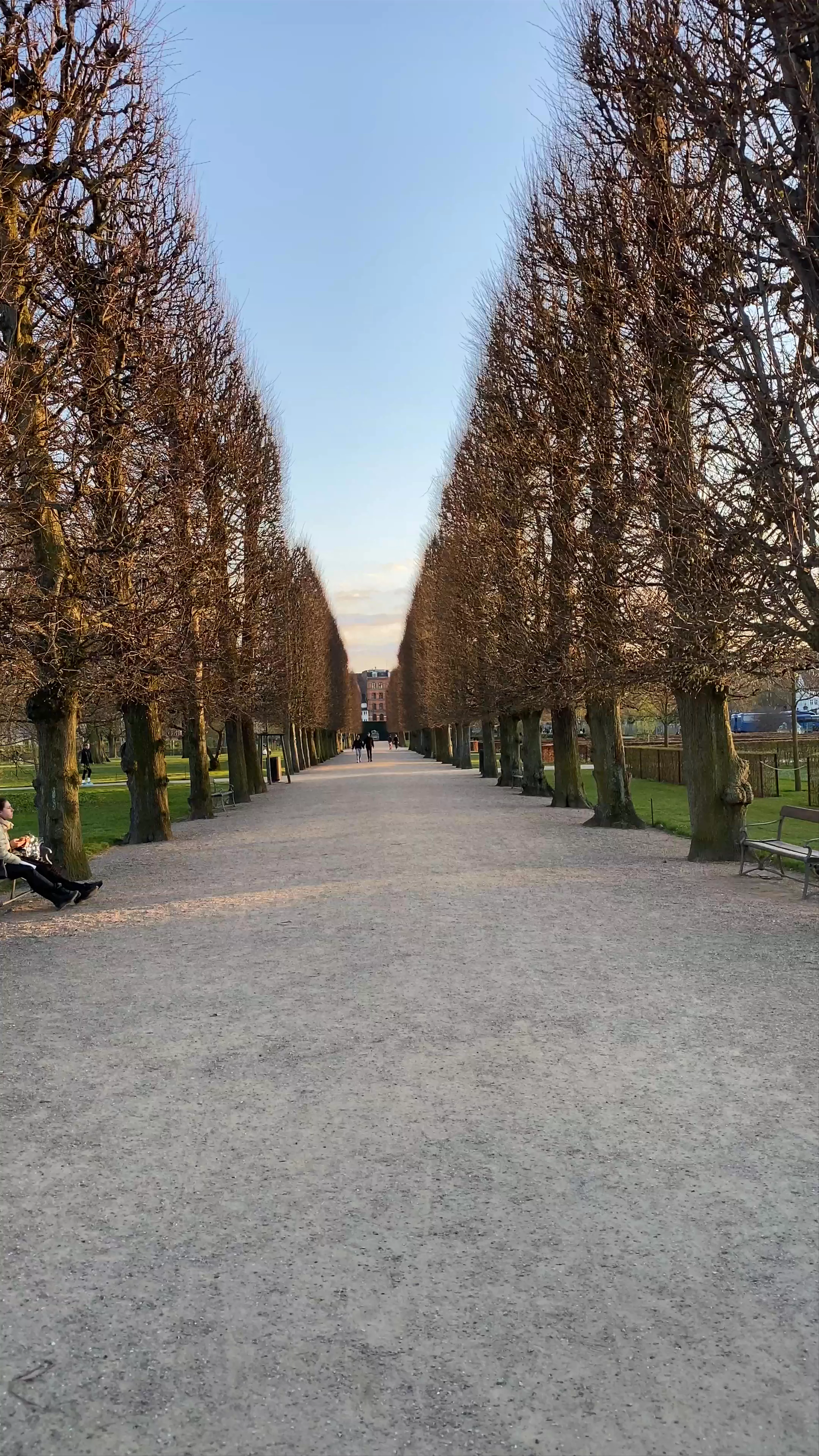 The King's Garden