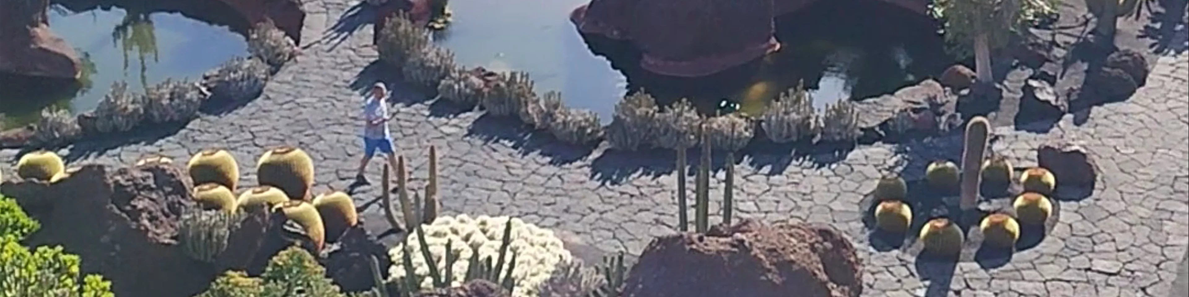 Jardín de Cactus | CACT Lanzarote