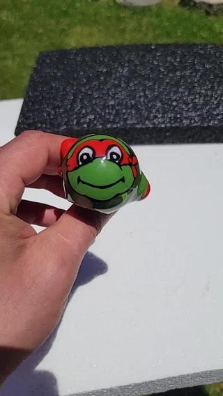Preview pic of Michaelangelo