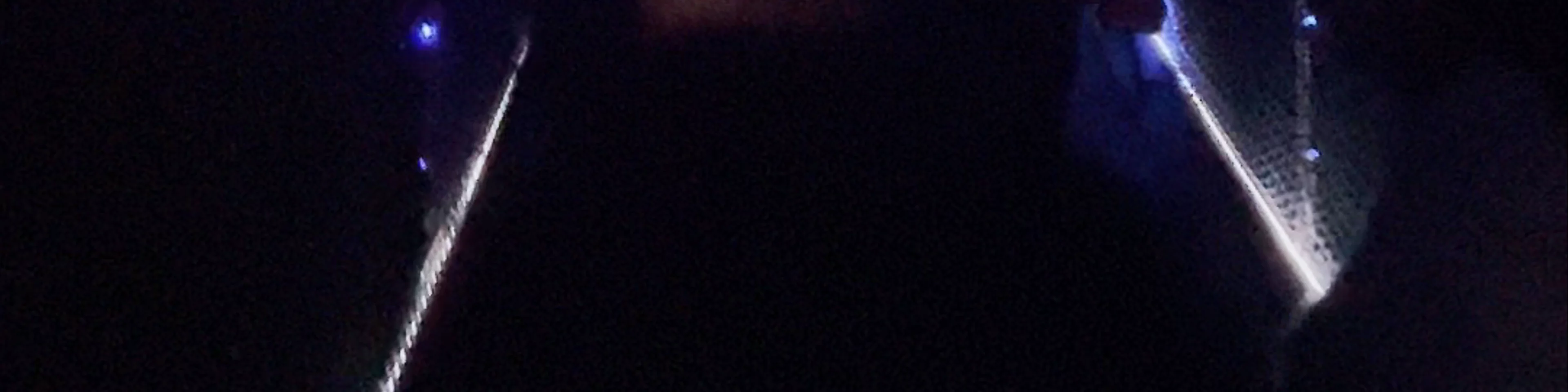 Foresta Lumina