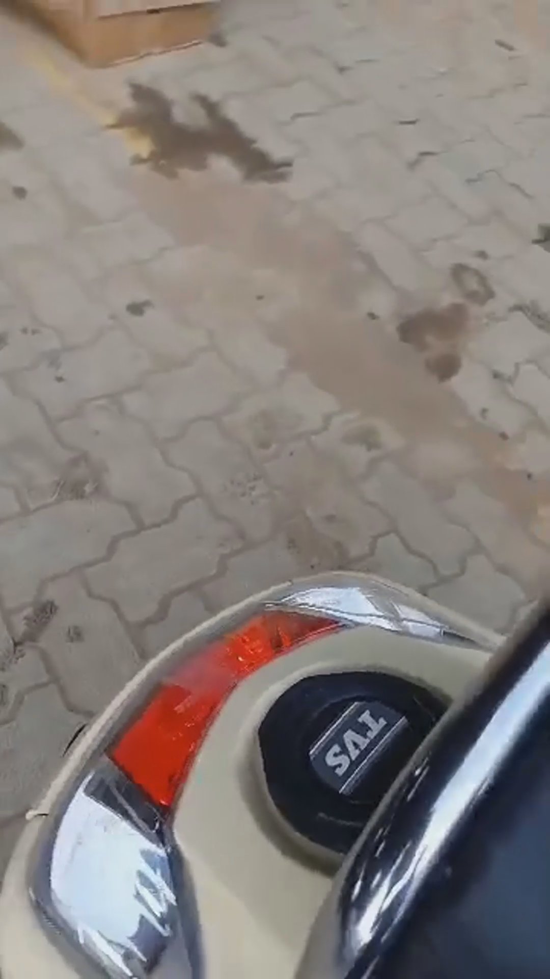 Walk-around video thumbnail