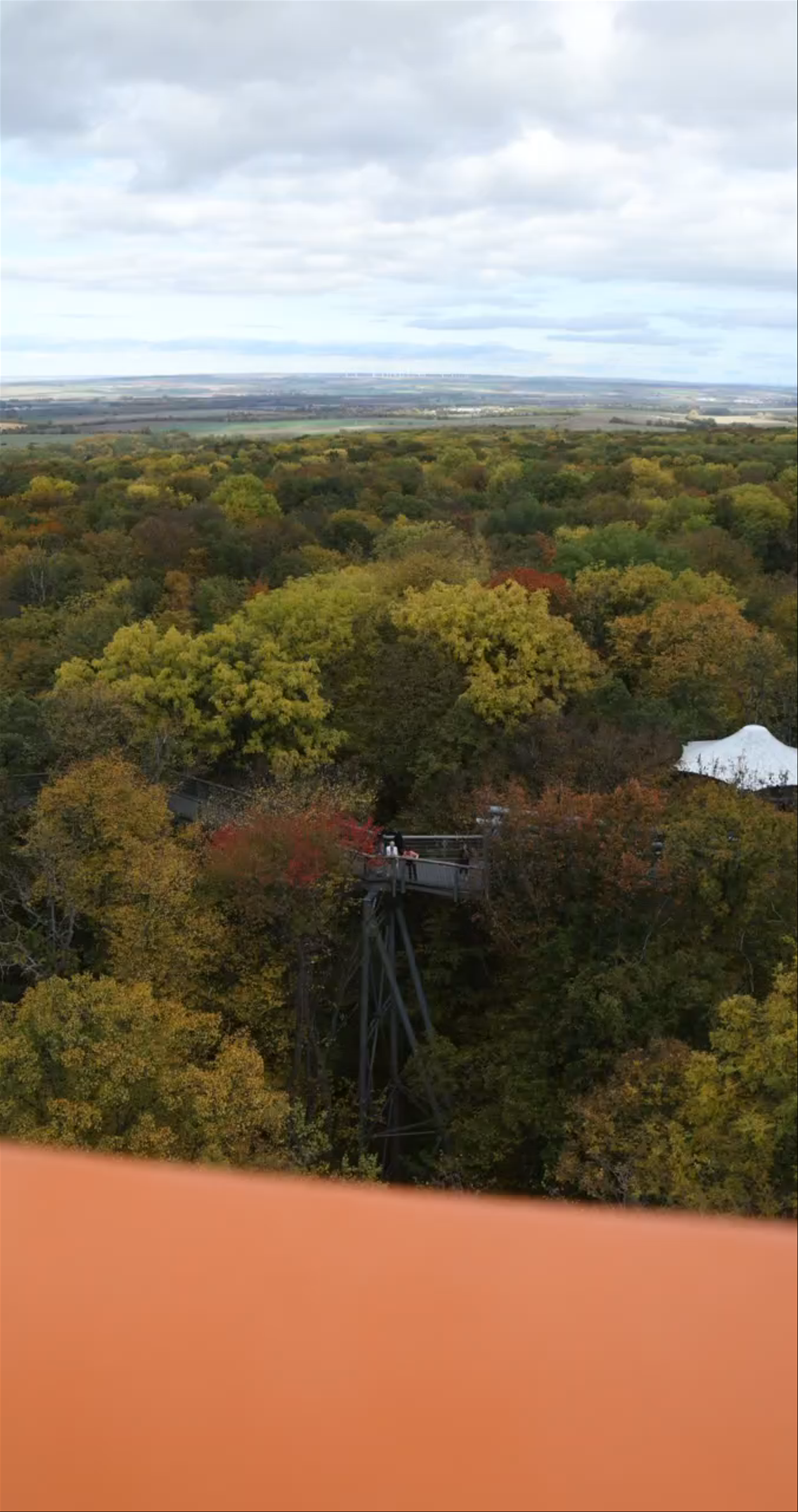 Baumkronenpfad im Nationalpark Hainich