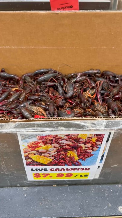 88 Ranch Market - Crawfish $7.99/lb - Seafood Markets Near Me - Oceanside, California