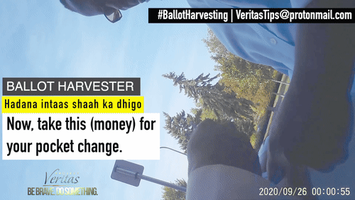 Video Thumbnail Loop