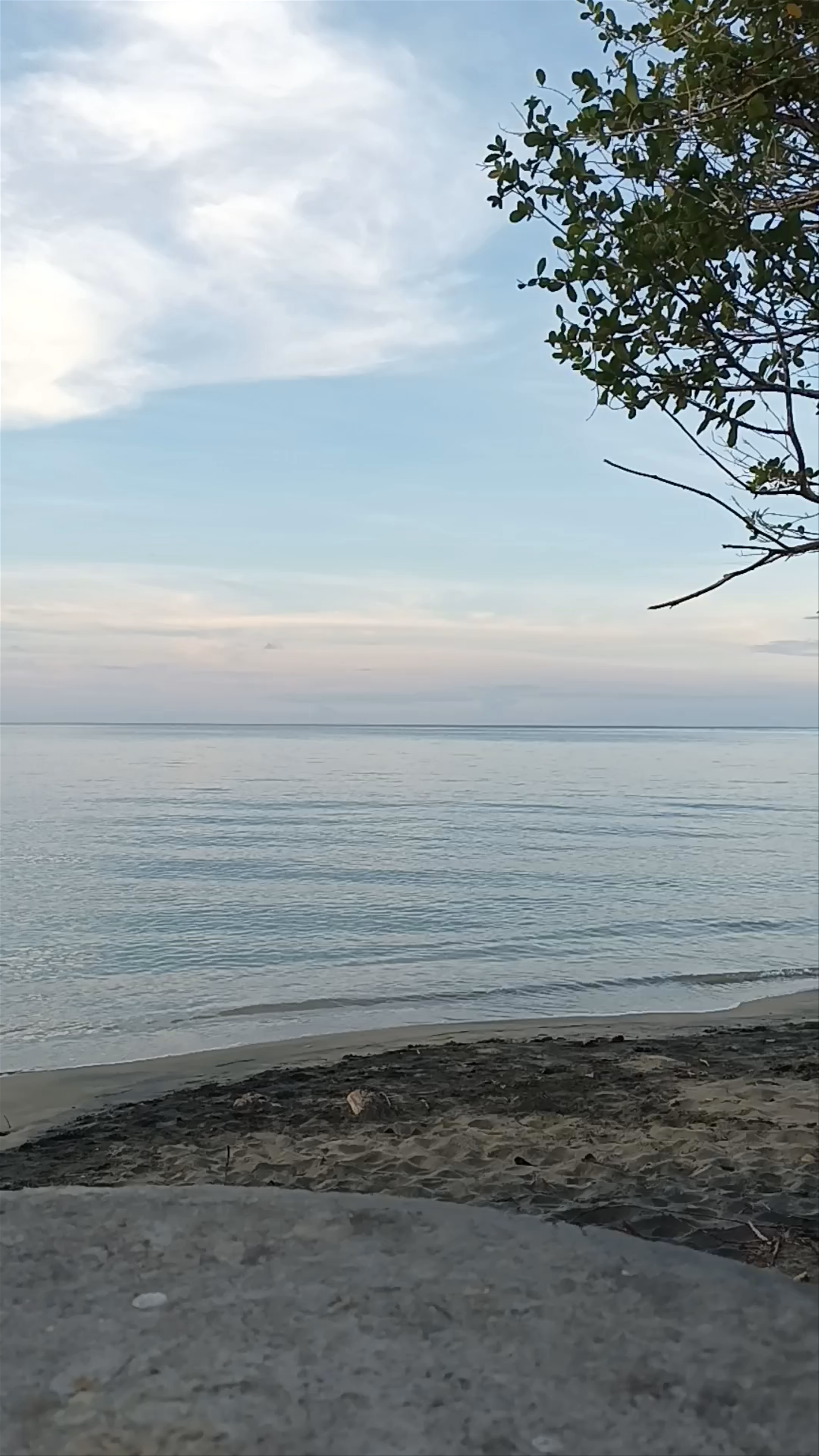Tranquil Shoreline at Refugio Nacional Gandoca-Manzanillo, Costa Rica