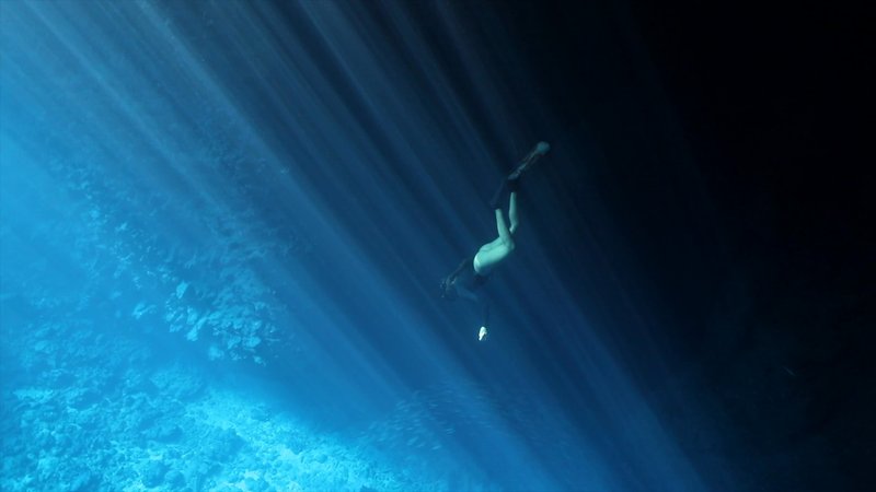 Free Diver poster