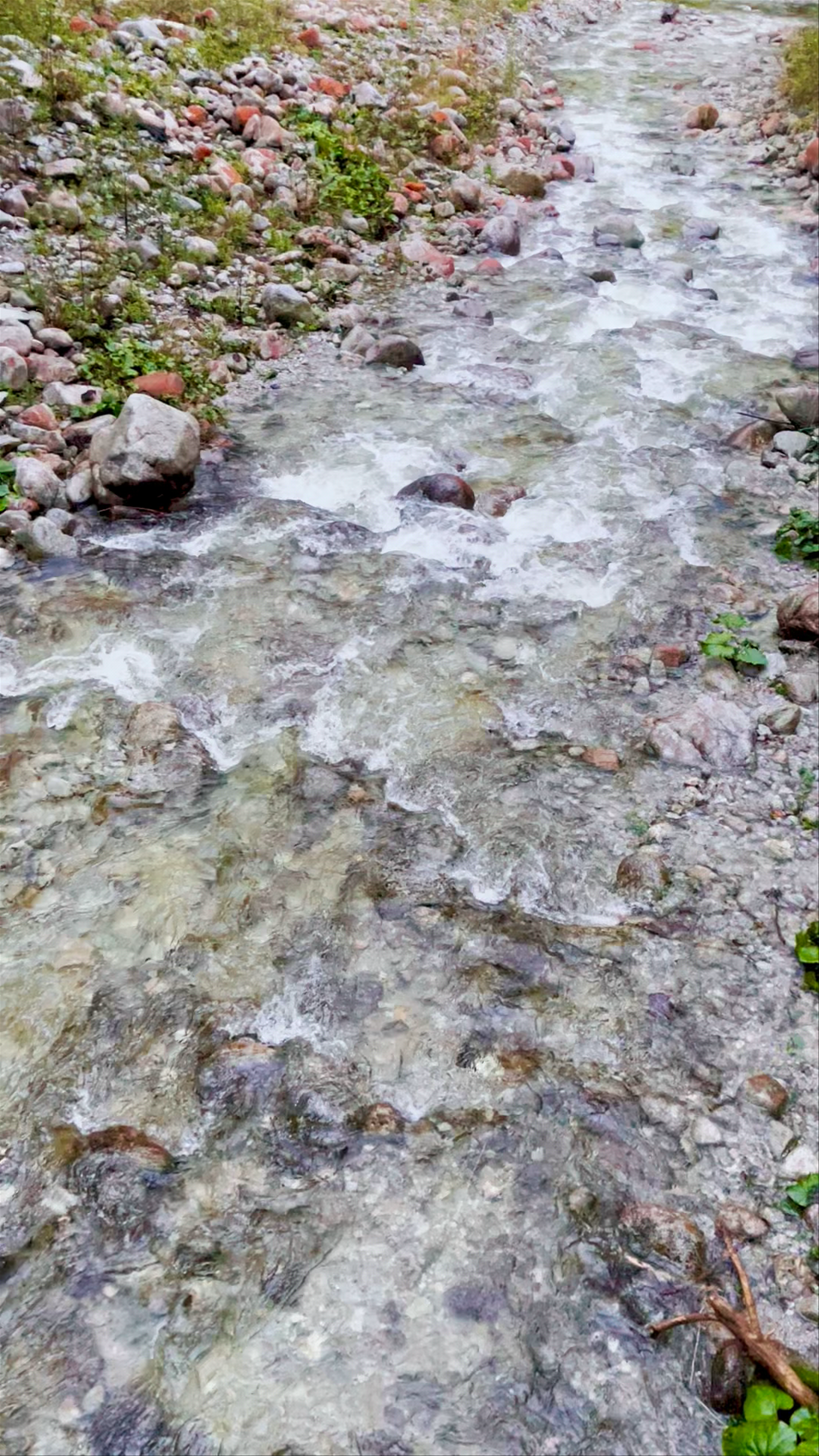 Mostek nad Dwernikiem w Nasiczne
