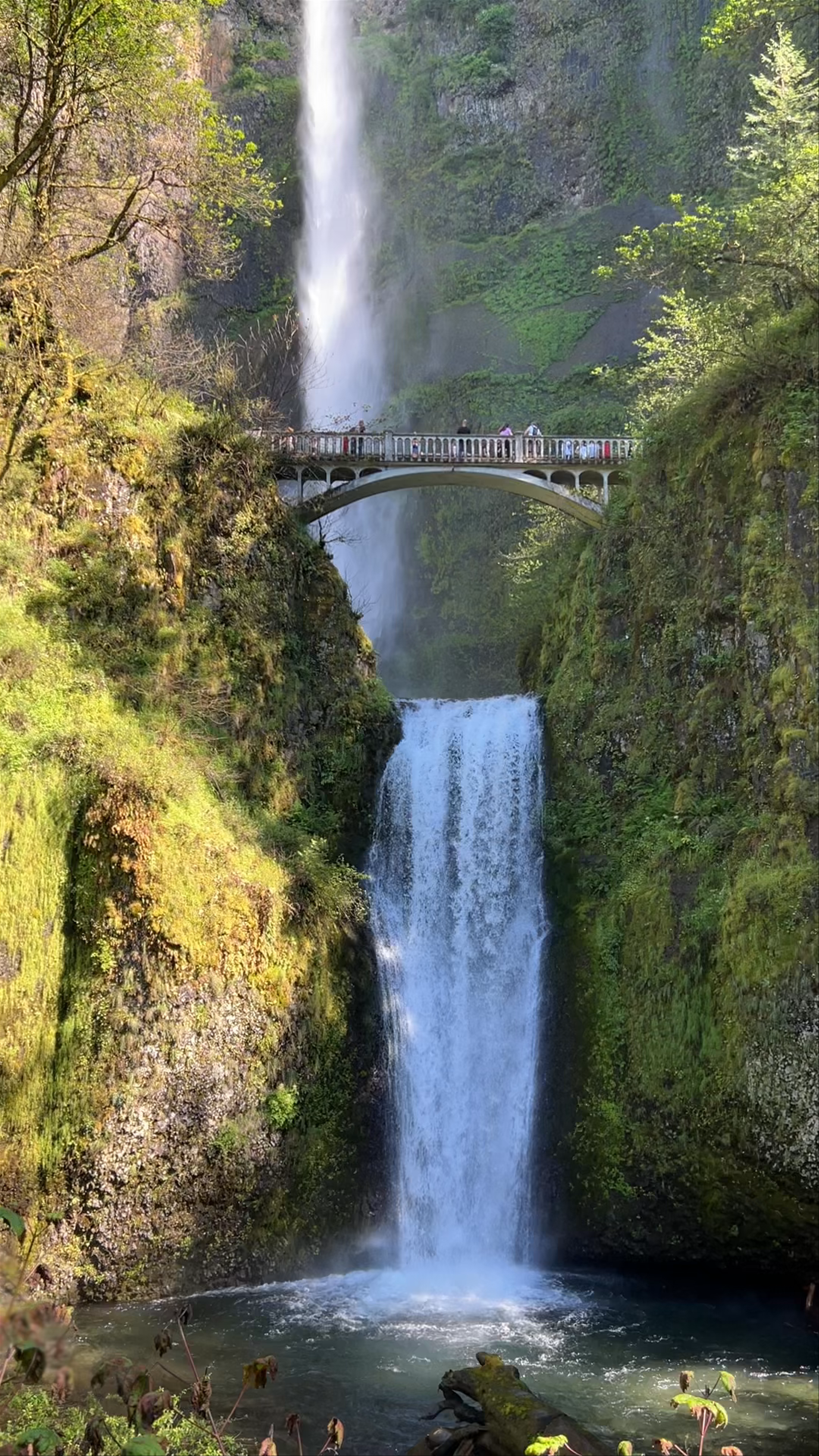 Multnomah Falls
