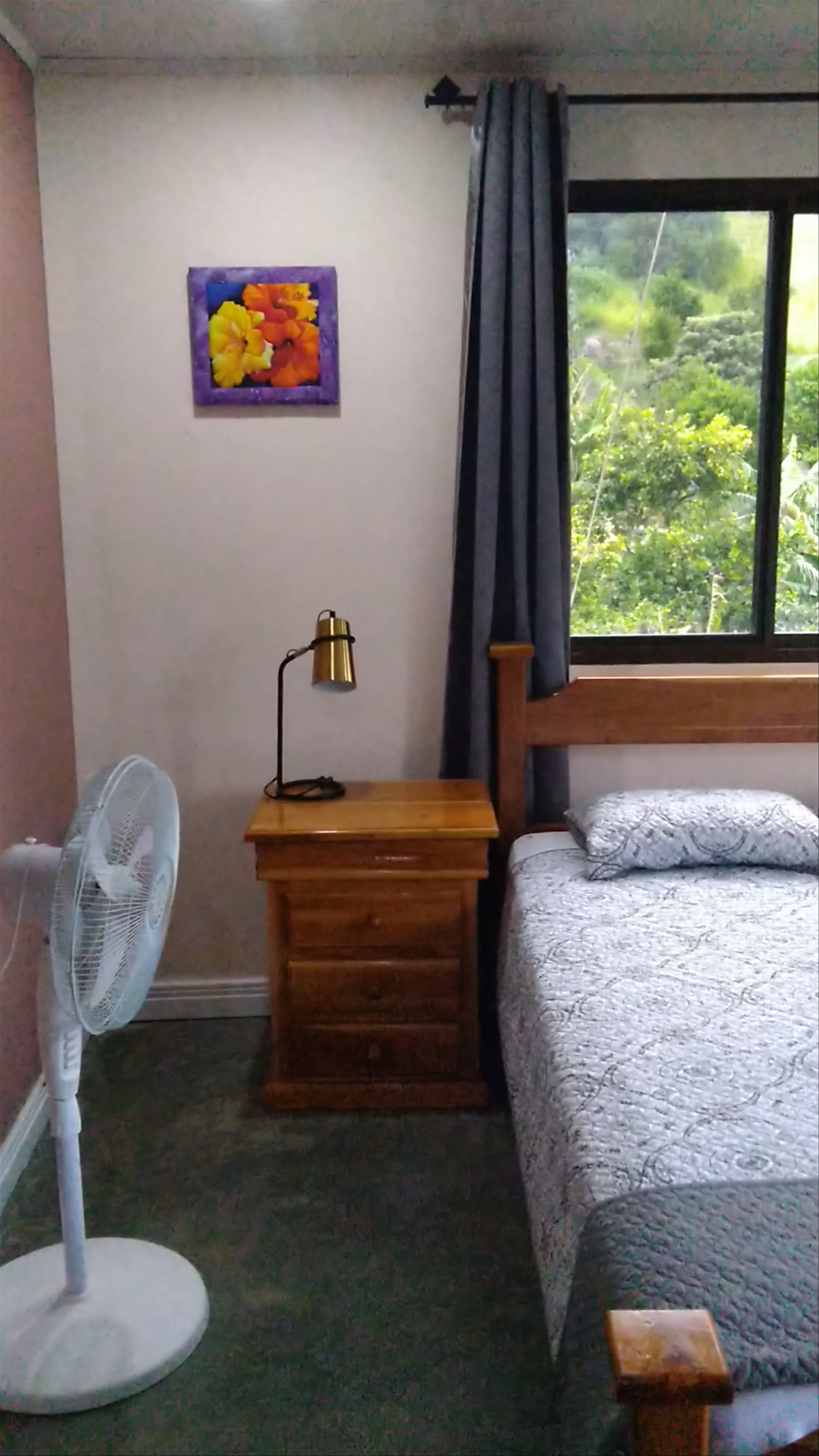 Hotel Buena Vista Boquete