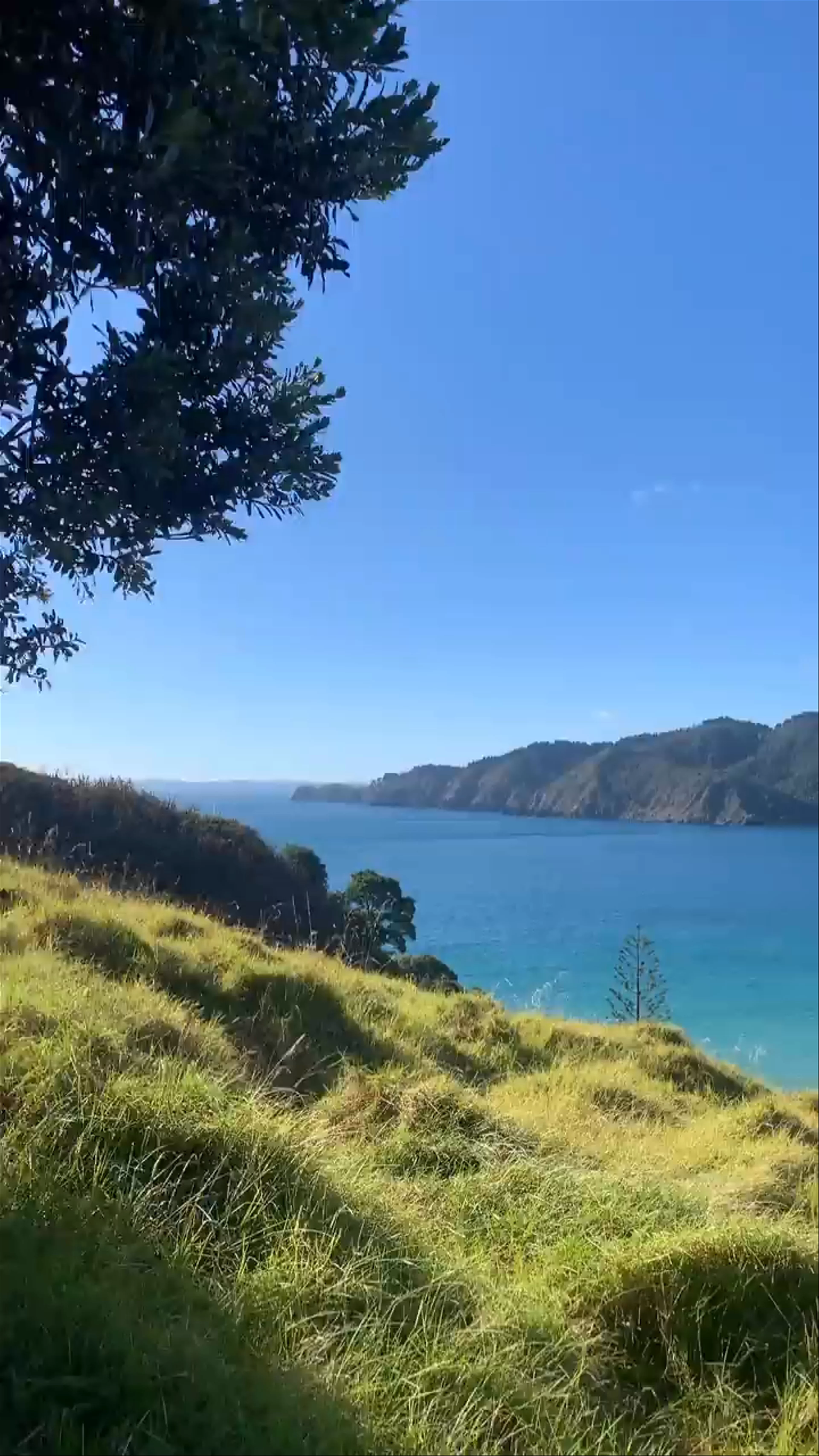 Matauri Bay Beach