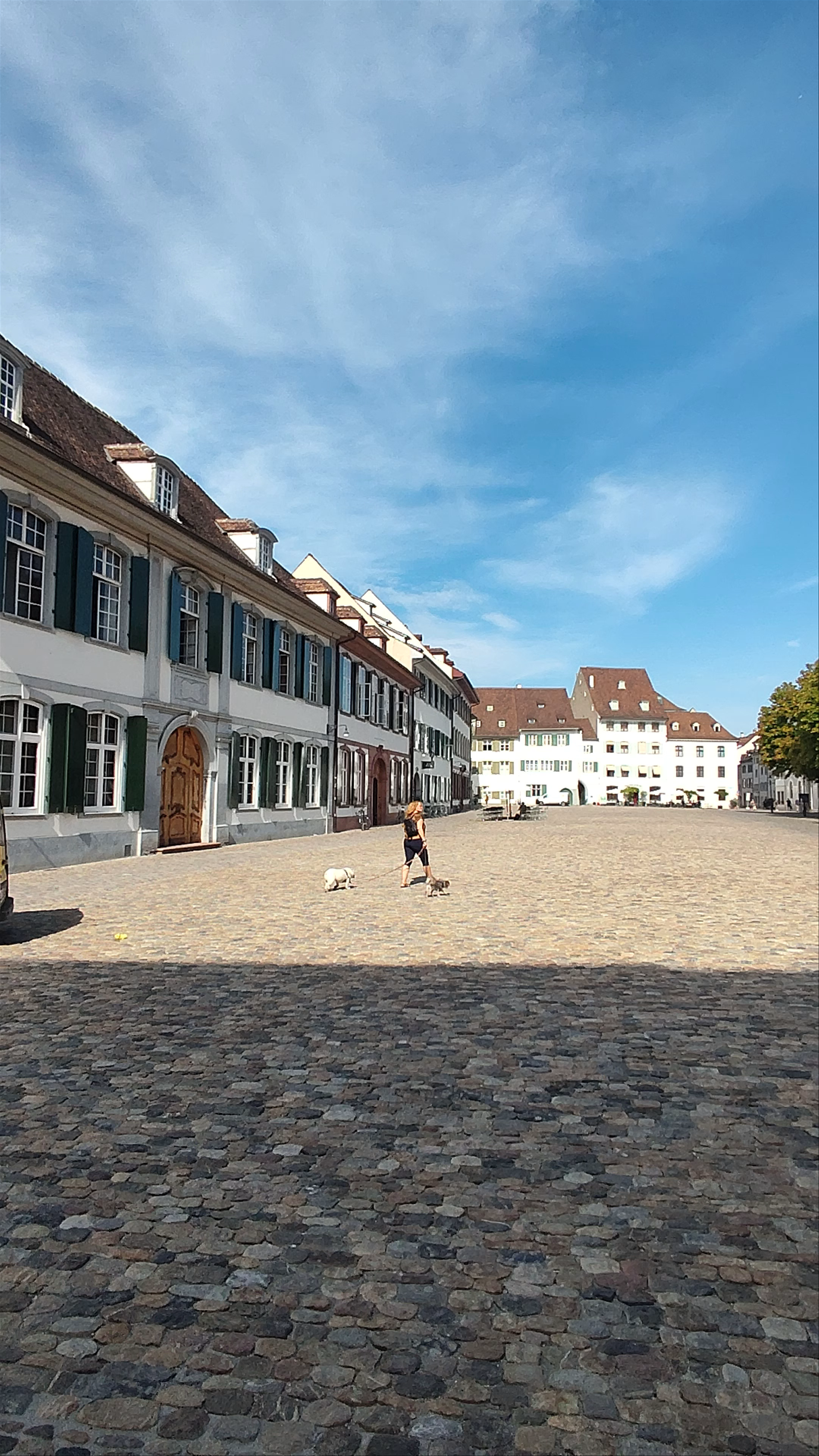 Basler Münster